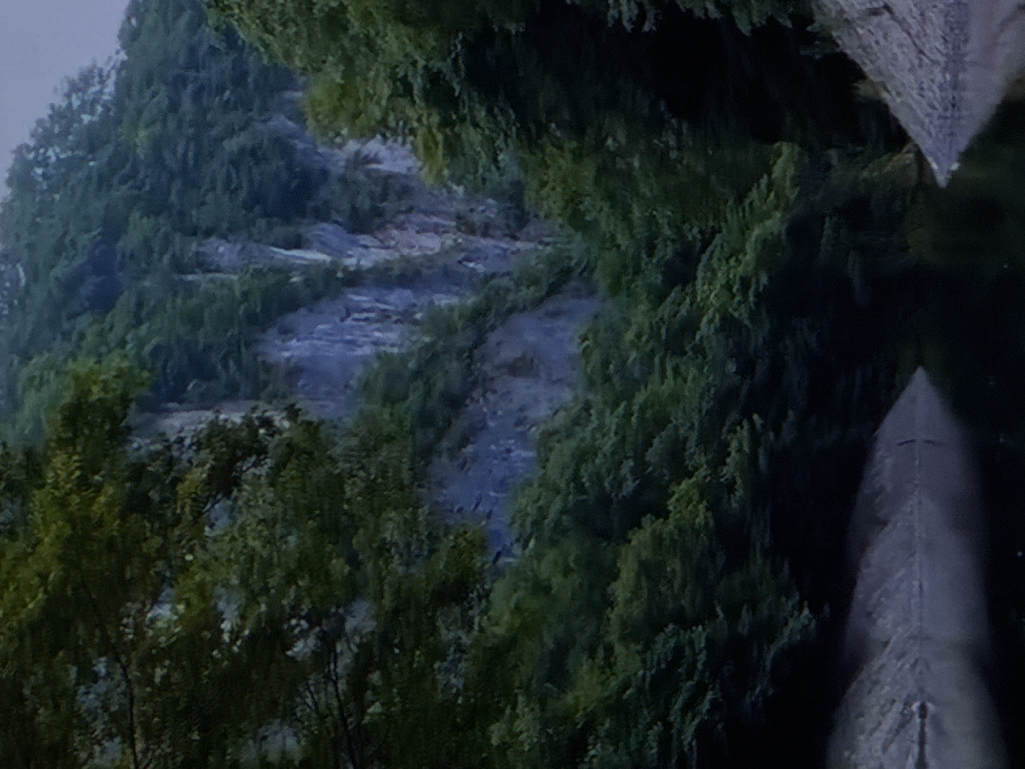 A scenic view of a narrow gorge with steep, rocky cliffs partially covered by dense green foliage. The gorge is partially filled with dark, still water, reflecting the surrounding trees and cliffs. The image depicts a natural landscape, possibly a park or a nature reserve, in the vicinity of Sinyavino, Russia. The lighting suggests it is either early morning or late evening, with the sky being overcast or dim. No people or animals are visible in the image.