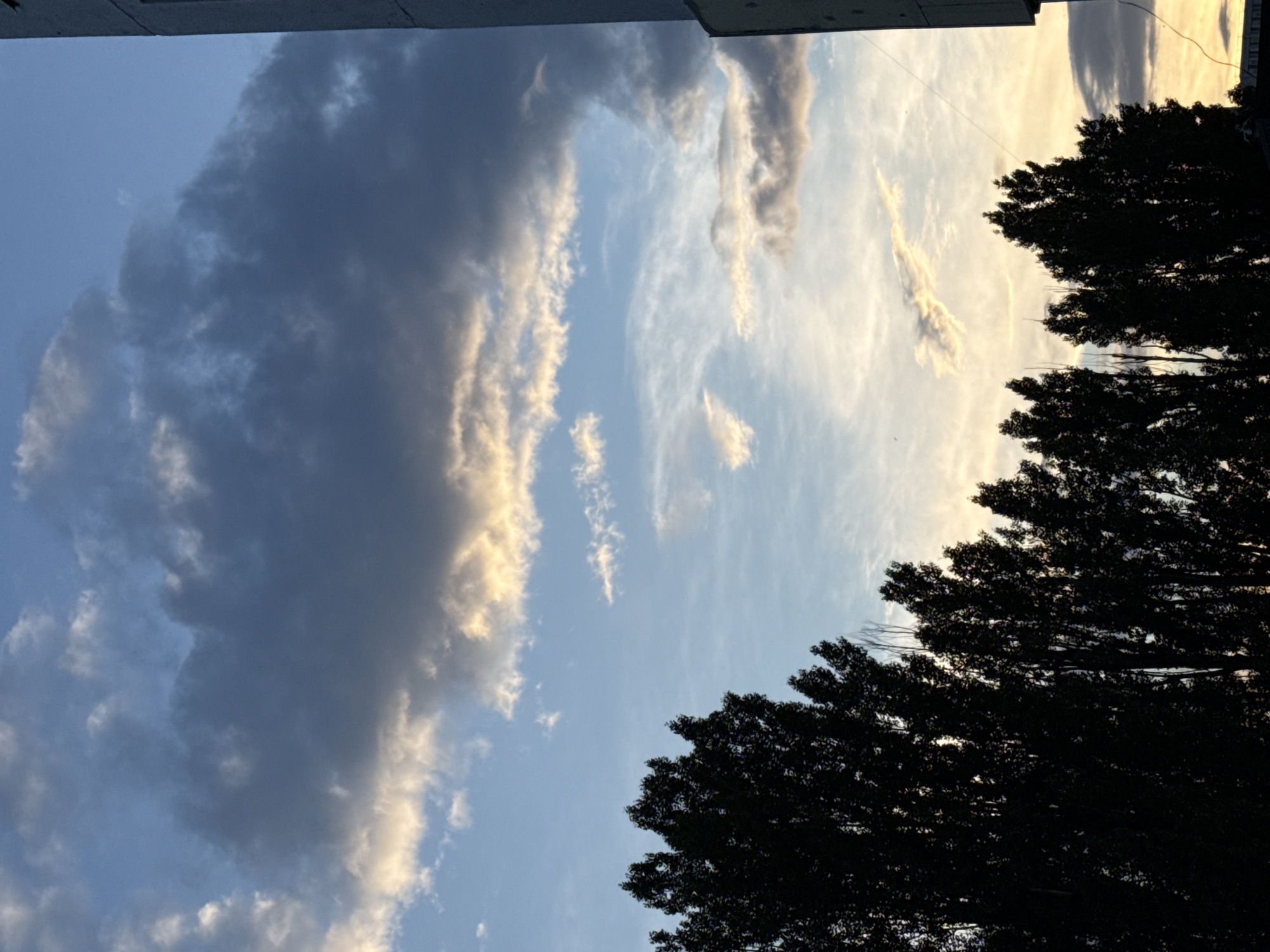 The image depicts a silhouetted line of trees against a sky filled with clouds. The clouds are varied, with some dark and heavy, and others lighter and wispy, illuminated by a soft, warm light, suggesting either sunrise or sunset. To the far right of the frame, a portion of a building is visible. The scene appears to be an outdoor urban environment.