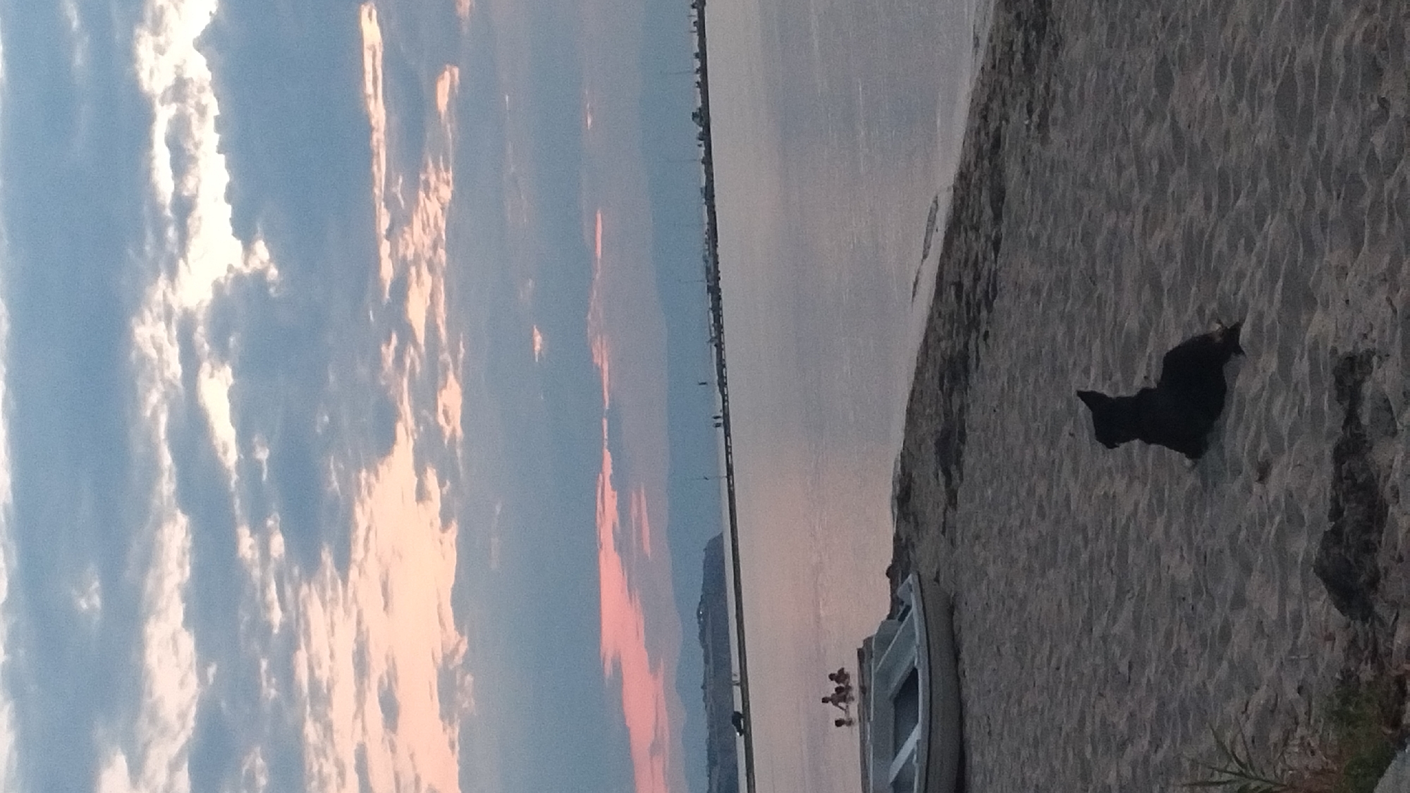 A black dog rests on a sandy beach in Neoi Epivates, Greece, facing away from the camera. The dog is in the foreground, with its back to the viewer. To the left of the dog is a white boat on the sand. In the middle ground, several people are wading in the shallow water. A long pier extends into the sea, lined with people and vehicles. The background features a hazy shoreline with mountains visible in the distance. The sky is filled with clouds, tinged with pink and orange from a sunset or sunrise. The overall scene depicts a tranquil coastal environment.