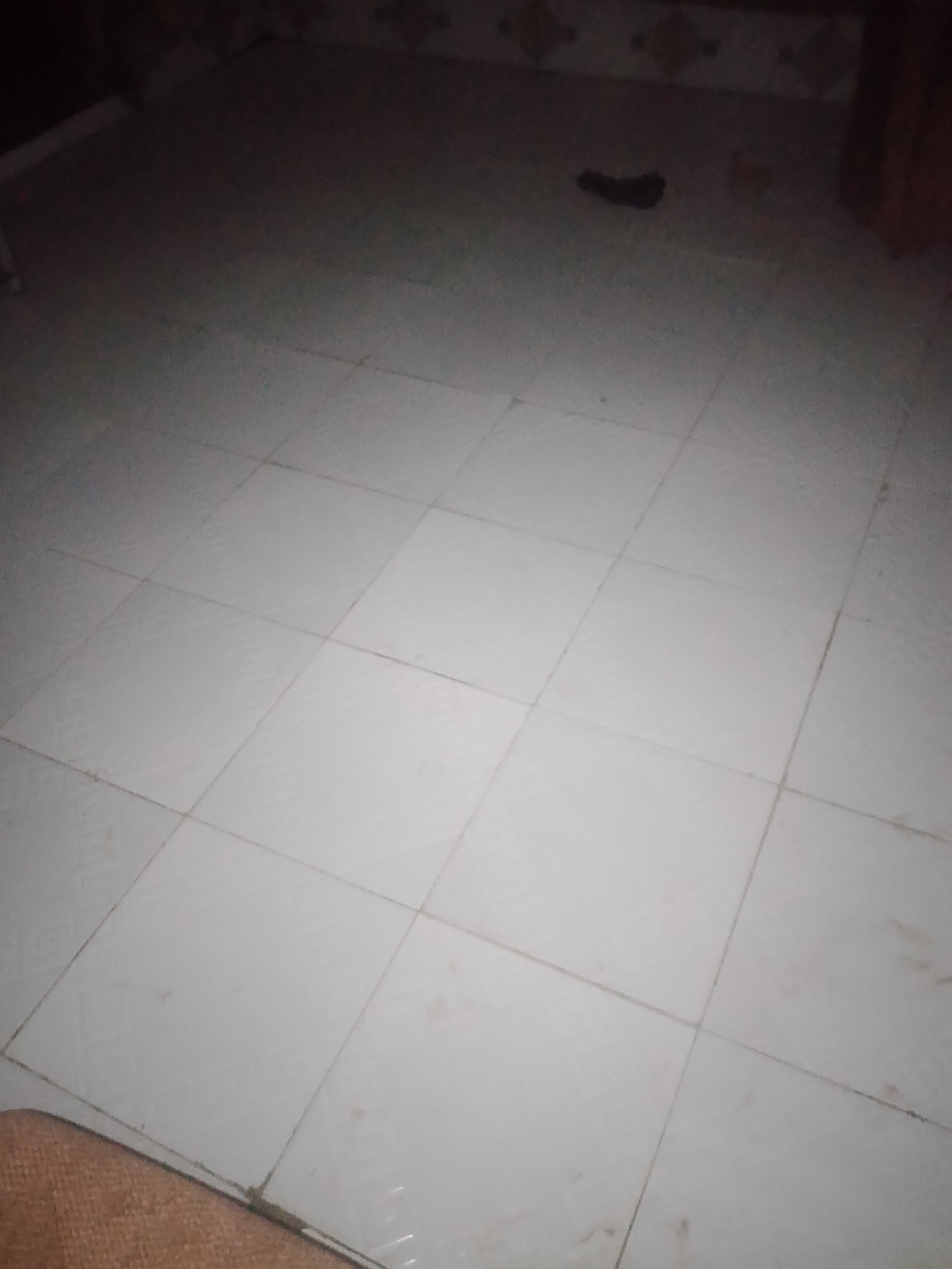 The image shows a dimly lit tiled floor. A dark, elongated object, possibly a piece of clothing or debris, is visible on the floor in the upper middle section of the image. The tiles are light-colored and laid in a grid pattern. The background is dark and out of focus. The scene is consistent with an indoor environment, such as a room or hallway. It is not possible to determine the exact location within Jauro Yinu, Nigeria from the image alone.