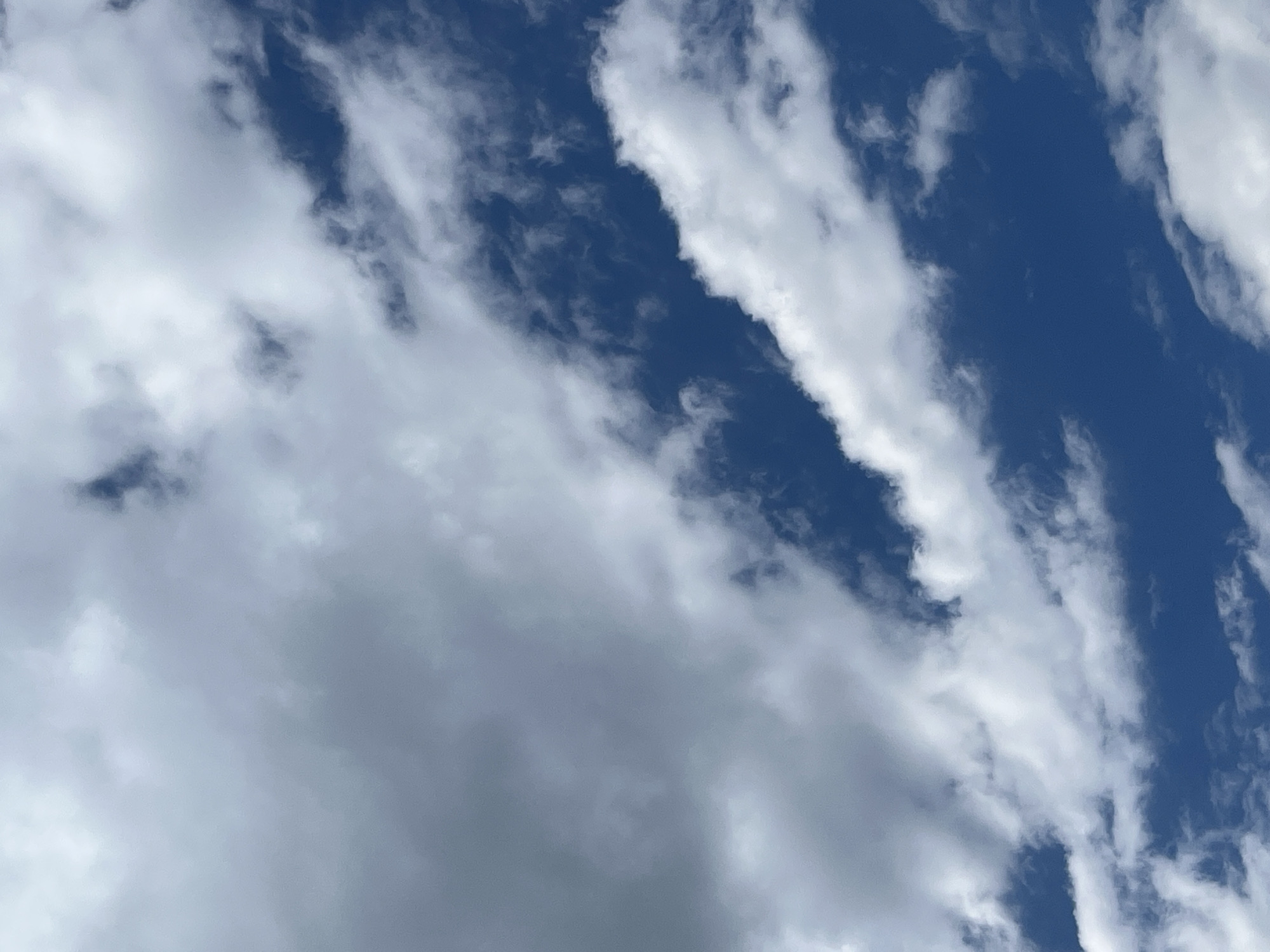 A wide shot captures a partly cloudy sky with a deep blue expanse. Large, wispy clouds, predominantly white with some gray undertones, are scattered across the frame. They are illuminated by natural sunlight, creating a sense of depth and texture. The image is taken from a ground-level perspective looking upwards.