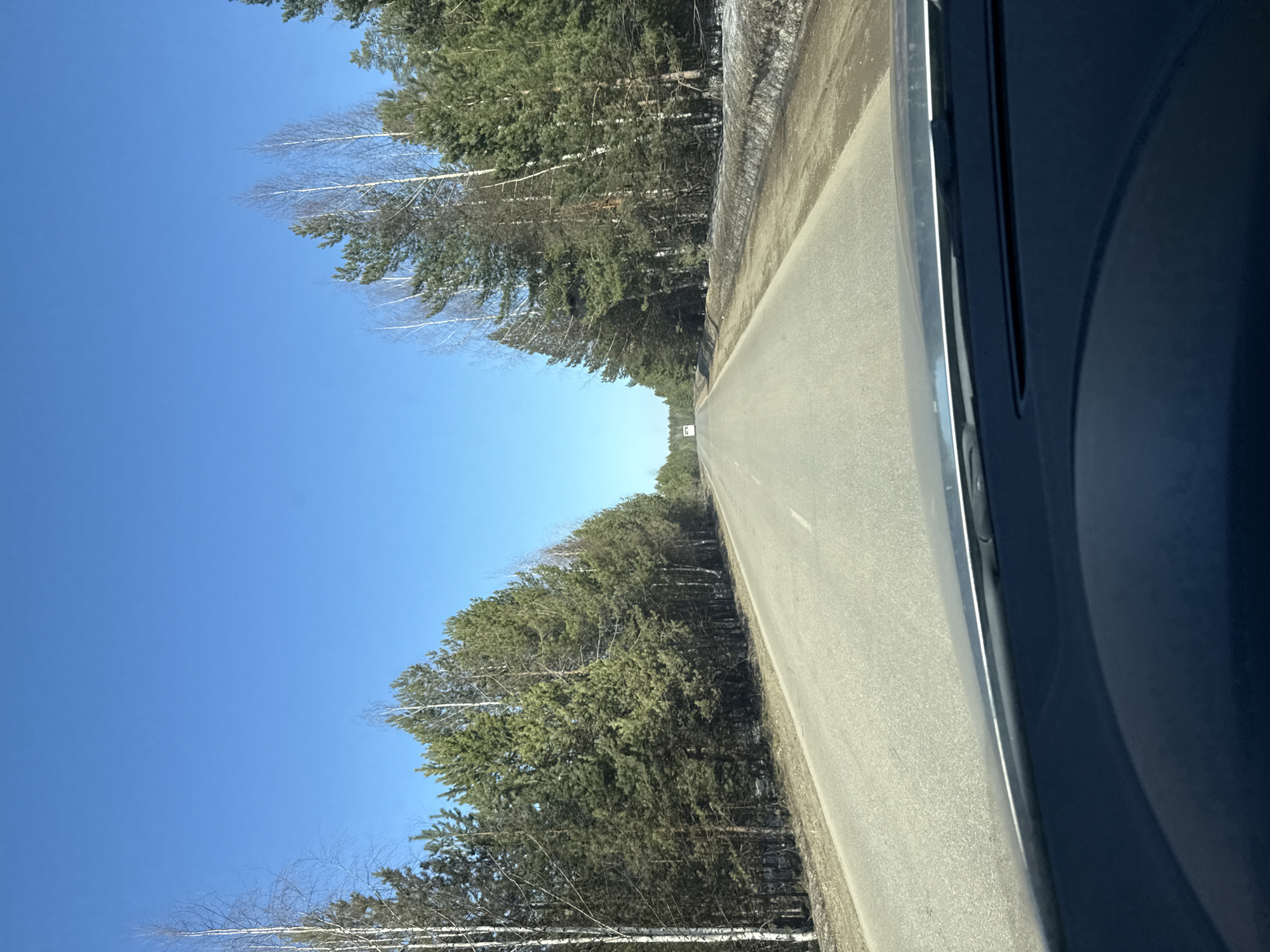 The image depicts a view from inside a vehicle traveling on a paved road in a rural area. The road is flanked by dense forest on both sides, with a clear blue sky visible above the trees. The perspective suggests the vehicle is in motion. The exact location within Chaikovsky, Russia, cannot be determined from the image alone.