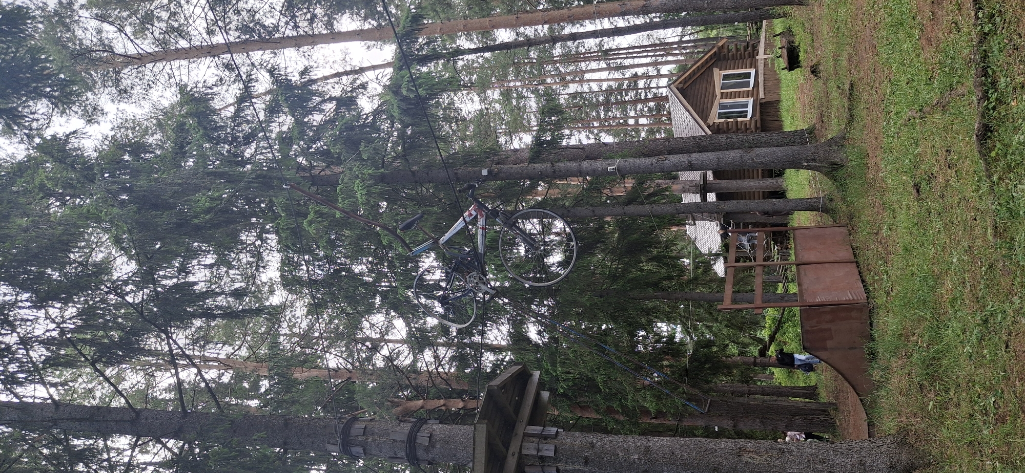 The image depicts a forest scene in Прикамский, Russia. A bicycle is suspended between trees, secured by cables or ropes. The surrounding environment includes tall pine trees, a wooden cabin structure in the background, and a metallic structure adjacent to the trees. The ground is covered with grass and forest floor debris. There appear to be some human figures in the scene near the metallic structure.