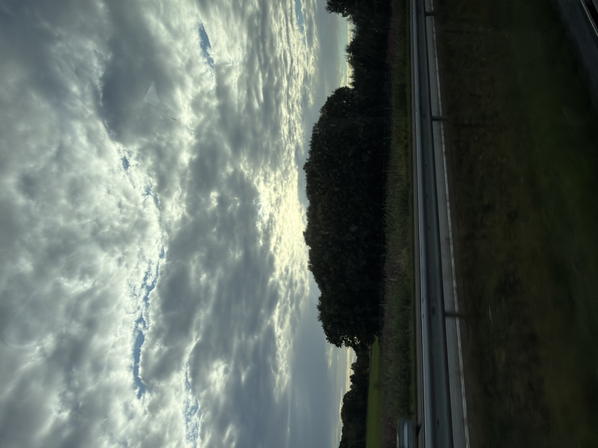 This is a photograph taken from a moving vehicle, likely a car, traveling on a highway. The scene depicts a cloudy sky with patches of blue visible. In the mid-ground, there is a dense line of trees and vegetation bordering a field. A highway guardrail runs horizontally across the lower portion of the image, separating the road from the field. The lighting suggests it is either early morning or late afternoon. The location is identified as Himle, Sweden. There are no people or discernible actions visible in the photograph.