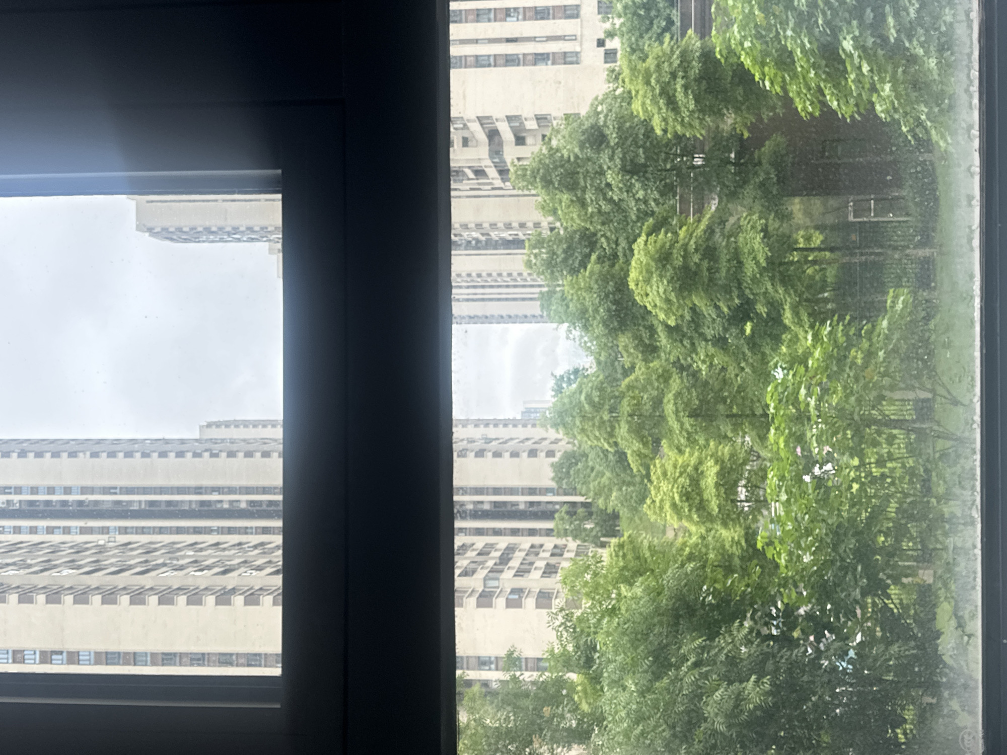 The image displays an urban landscape viewed from indoors through a window, with a dark window frame bordering the top, bottom, and sides of the scene. The upper half of the image features an overcast, light-grey sky above multiple distant high-rise buildings. These structures, characteristic of high-density urban development in the Chongqing High-tech Zone, China, are light-colored with numerous windows. The lower half of the image is filled with dense, lush green foliage, primarily consisting of various deciduous trees and undergrowth, suggesting a park or green space. The arrangement of the trees implies a sloping terrain. The bottom edge of the window pane exhibits multiple small water droplets or condensation, indicating humidity or recent precipitation. No individuals, specific actions, or interactions are visible within the static scene.