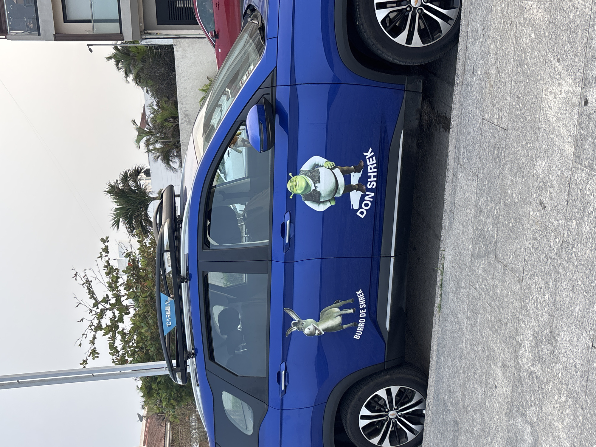 A blue hatchback, presumably a Chevrolet, sits parked on a grey stone-paved sidewalk in Veracruz, Mexico. The passenger side of the car displays large stickers of the characters Shrek and Donkey from the animated movie "Shrek", labeled with the names "Don Shrek" and "Burro de Shrek" respectively. The car has a roof rack with a blue "CARGUIA" branded accessory attached. In the background are buildings, palm trees, and a glimpse of other parked cars. The sky is overcast.