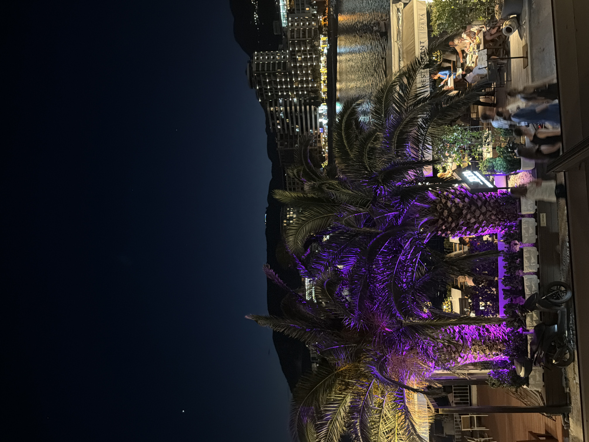 The image depicts a nighttime scene in Budva, Montenegro. It is oriented sideways with the sky on the left and the city and water on the right. A palm tree illuminated with purple and yellow lights is prominent in the foreground. Buildings with illuminated windows are visible in the background along the waterfront. People are present at an outdoor restaurant in the background. The scene appears to be along a boardwalk. A black stroller can be seen in the bottom right. The restaurant appears to be called 'Zeta'.