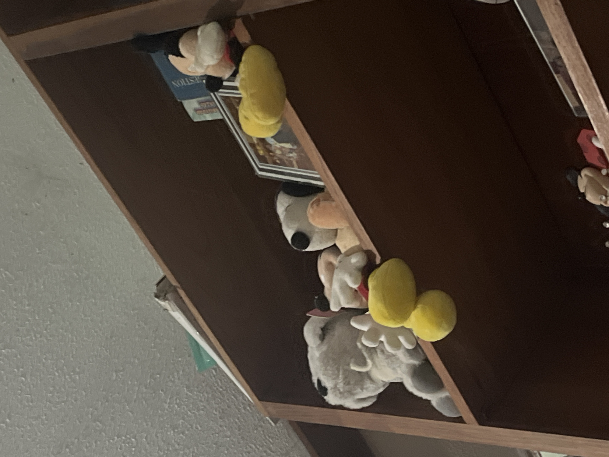 The image shows stuffed animals on a wooden shelf in Santa Ana, Venezuela. The stuffed animals include a large gray dog with white paws and yellow ear-like accessories, a smaller white dog with black ears, and a Mickey Mouse plush toy wearing a red shirt and black hat. There is also a framed picture behind the stuffed animals. The shelf is part of a bookshelf, and the ceiling above is textured.