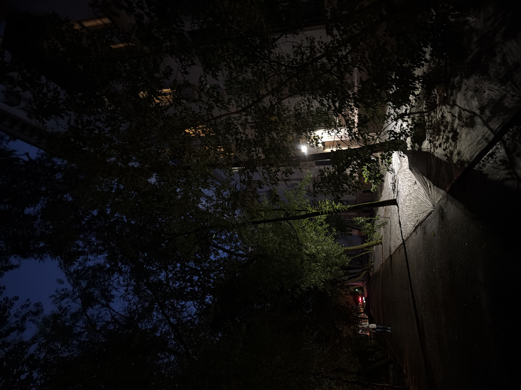 An outdoor nighttime scene depicts a street lined with trees and a building. A person, viewed from the back, walks on the paved walkway. The person is wearing a light-colored jacket and dark pants. In the distance, red lights from a vehicle are visible. A streetlamp illuminates a section of the ground and nearby trees. The sky is dark blue.
