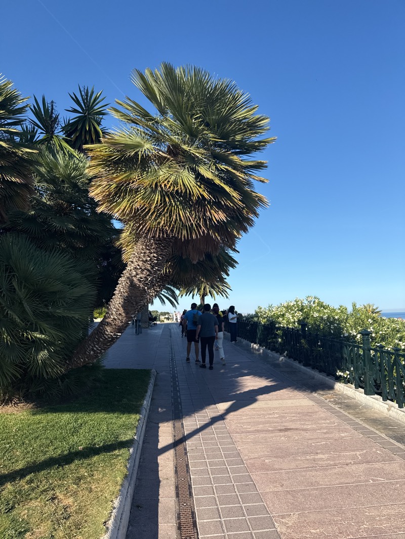 A group of people strolls along a brick-paved sidewalk on a sunny day in Tarragona, Spain. A curved palm tree and other vegetation cast shadows on the walkway. A green metal railing separates the sidewalk from a lower area with white flowering bushes. In the distance, the blue sea meets the horizon. The sky is clear and blue.