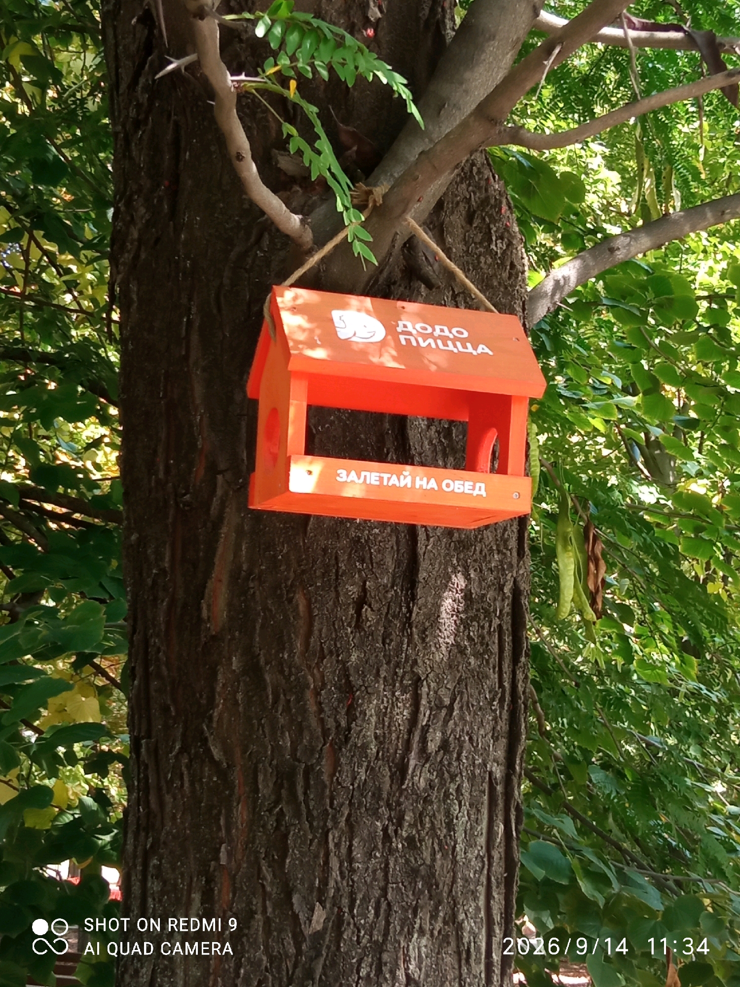 An orange bird feeder with the text "ДОДО ПИЦЦА" and "ЗАЛЕТАЙ НА ОБЕД" in white lettering is hanging from a tree branch in an outdoor setting. The bird feeder is the central focus of the image. It is an orange, house-shaped structure with an opening in the front for birds to enter. The text on the feeder suggests it is associated with a pizza brand and encourages birds to "fly in for lunch." The bird feeder is suspended by a rope tied around the branch. The background consists of a large tree trunk with rough bark and lush green foliage, suggesting a natural environment, possibly a park or a residential area with trees. The lighting indicates it is daytime. In the bottom left corner of the image, there is a watermark with "SHOT ON REDMI 9 AI QUAD CAMERA," and in the bottom right corner, a date and time stamp reads "2026/9/14 11:34."