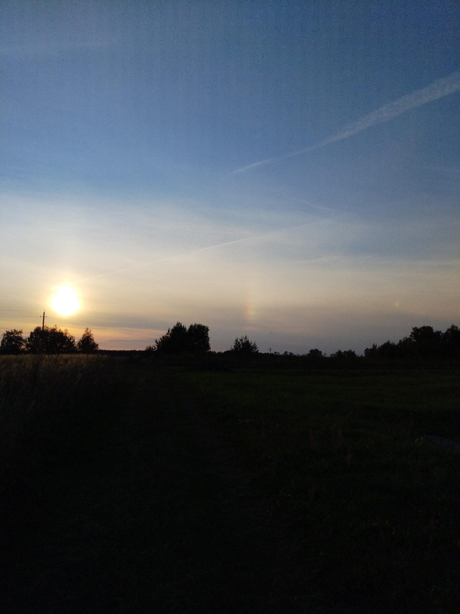The image captures a sunset over a rural landscape, likely in or near Bialynichy, Belarus, given the context provided. The sky displays a gradient of colors, transitioning from a deep blue at the top to lighter shades of yellow and orange near the horizon, indicating the sun is setting. The sun itself is a bright, luminous orb, positioned to the left of the frame and slightly above the tree line. A faint contrail is visible in the upper right quadrant of the sky, suggesting aircraft activity.
In the middle ground, a silhouette of trees forms a dark band across the landscape, with some appearing taller than others. A solitary utility pole stands among the trees on the left side, also silhouetted against the sky. To the right of the main sun, there appear to be two faint, colorful arcs, possibly sundogs, visible against the haze of the setting sun.
The foreground is dominated by a dark, shadowy expanse, which appears to be a field or meadow. The details within this area are obscured by the low light conditions. The overall impression is one of a tranquil evening in a natural, open environment.