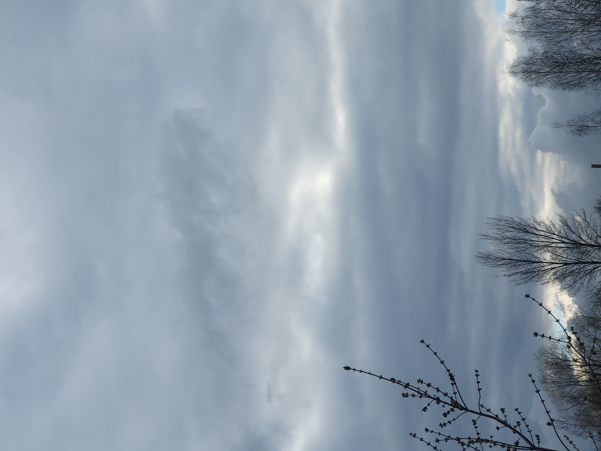 The image captures a dramatic, cloudy sky, predominantly grey and overcast, with several brighter patches where sunlight breaks through the dense cloud cover. The overall impression is of an intense, diffused light source behind the clouds.
Along the right side of the frame and in the bottom right corner, silhouettes of bare deciduous trees are visible against the sky. These trees are without leaves, indicating either late winter or early spring. A prominent branch in the lower right section shows distinct buds forming, reinforcing the early spring seasonal cue. The composition heavily features the sky, with the trees acting as a natural frame or foreground element.
There are no people or any specific activities taking place; the scene is a still landscape view. The weather is overcast and cloudy. The time of day is likely daytime, with the visible light indicating the sun is present, albeit obscured by clouds. The bare trees with buds are consistent with the climate in Chaikovsky, Russia, during late winter or early spring. No text is visible in the image.
