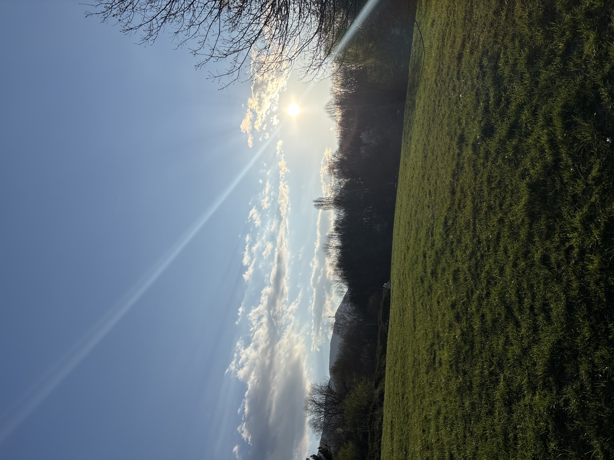 The image shows a sunny outdoor scene, likely taken in a park or grassy area. A large green field occupies the right side of the frame, with variations in tone suggesting shadows or differing grass density. A line of trees is visible in the mid-ground, some of which appear bare-branched. Above the trees, the sun shines brightly, creating lens flares and radiating light. The sky transitions from a deep blue in the upper left to lighter shades with scattered clouds near the sun.
Based on the limited visual information, it is difficult to confidently assert that the image was taken in Sofia, Bulgaria. However, given the presence of mountains, an image like this could have been taken on the outskirts of the city, on one of the accessible mountains.