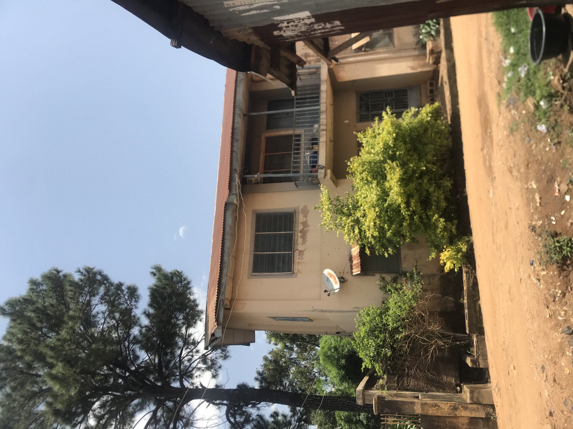 The image captures a two-story building with a pale yellow facade and a rusted corrugated metal roof, situated in a dusty, unpaved area that appears to be a street or yard. A large, mature evergreen tree with dark green foliage dominates the left side of the frame, its branches reaching towards a clear blue sky. The building has a balcony on the upper floor, enclosed by a metal railing. Several windows are visible, some with horizontal slats. A satellite dish is mounted on the wall of the building. To the right, a portion of another structure, also with a corrugated metal roof and a wall, is visible. Lush green bushes and trees surround the building, contrasting with the dry, reddish-brown earth. The overall impression is one of a residential area in a warm climate, possibly in Rafin Par, Nigeria, given the context. There are no people or explicit actions depicted in the scene.