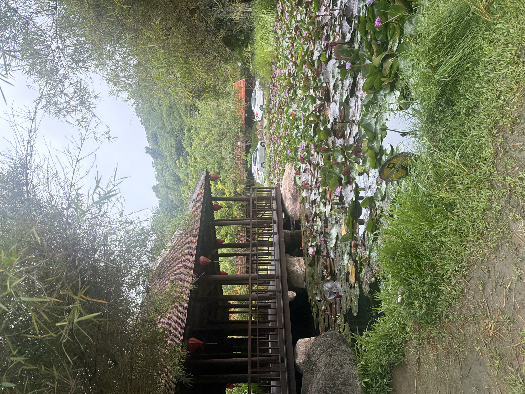 This is a vertical, eye-level, full shot of a pond filled with water lilies and lily pads. The pond is bordered by lush green grass and a muddy path on the left. In the middle ground, a covered wooden walkway with a tiled roof extends over the pond, supported by large stone pillars. Red lanterns hang from the roof of the walkway. Beyond the walkway, two white cars are parked near a building with a red tiled roof. The background features a dense, green hillside covered in trees, indicating a natural or park-like setting. The sky is overcast and appears hazy. This scene is likely located within the VinWonders Nha Trang amusement park, a popular tourist destination in Nha Trang, Vietnam, known for its themed gardens and water features. There are no people visible in the image.