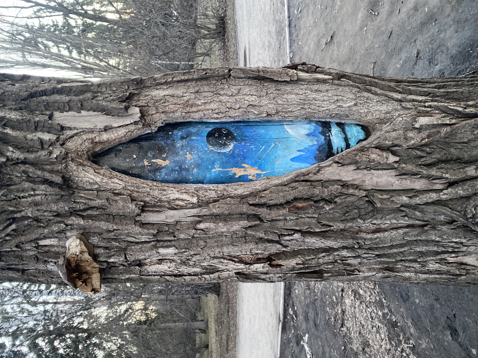 A horizontally oriented eye-level shot depicts a tree in a park setting in Yekaterinburg, Russia. A prominent tree trunk occupies the center of the frame, its bark displaying a textured, layered pattern. A knothole in the trunk has been artistically painted with a celestial scene, featuring planets, stars, and a blue backdrop, creating an illusion of depth within the tree.
On the left side of the trunk, a mushroom-like growth is visible. The background is blurred, but glimpses of trees, a pathway, and an overcast sky indicate an outdoor park environment. The color palette is dominated by the brown and gray hues of the tree bark, contrasted by the vibrant blue and celestial elements within the painted knothole. The image is rotated.