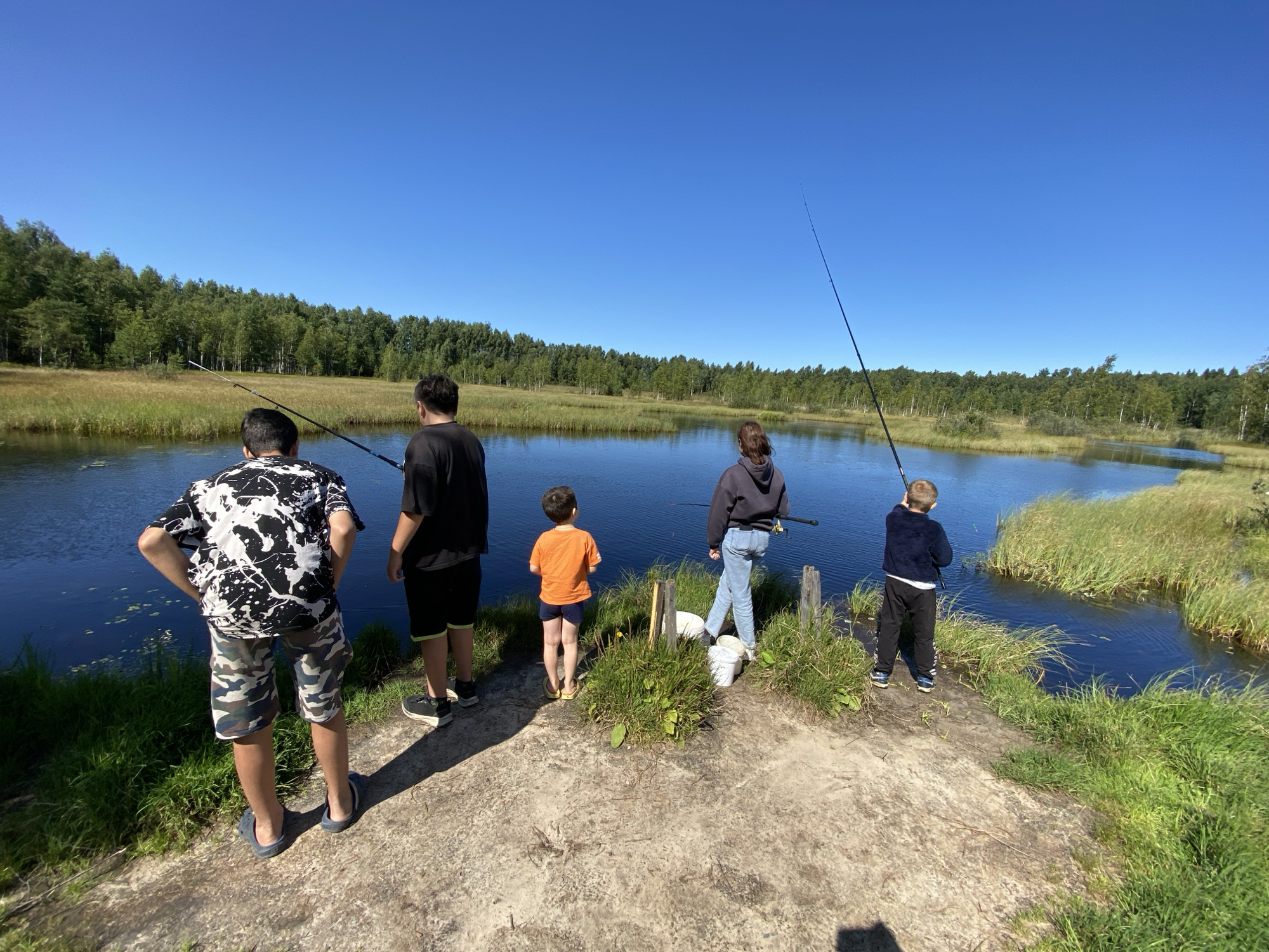 Five individuals are fishing on the bank of a calm body of water, likely a pond or small lake, under a clear blue sky. The landscape is characterized by a dense forest bordering the far side of the water, with tall green trees and some dry, yellowed grass in the foreground of the foliage. The bank where the people are standing is composed of dry, sandy soil and patches of green grass. The water itself appears dark and still, reflecting the sky.
From left to right, the first person is a young male wearing a black and white splattered t-shirt and camouflage shorts, with blue slip-on shoes. He is facing away from the camera, looking out at the water. Next to him is another person, a male, wearing a black t-shirt and black shorts with lime green trim, also facing away from the camera. To their right, a young male in an orange t-shirt and dark shorts stands with his back to the viewer. Further to the right, a person wearing a grey hooded sweatshirt and blue jeans is fishing. The person on the far right is a young male dressed in a dark blue jacket and black pants, holding a fishing rod. Two white buckets are visible near the individuals in the grey sweatshirt and the one in the blue jacket, likely used for carrying bait or caught fish. The scene suggests a recreational activity, possibly a family outing for fishing, in a natural, rural setting. The location, "Авиатор Снт, Russia", implies this is a dacha settlement or a similar recreational area outside of a major city.