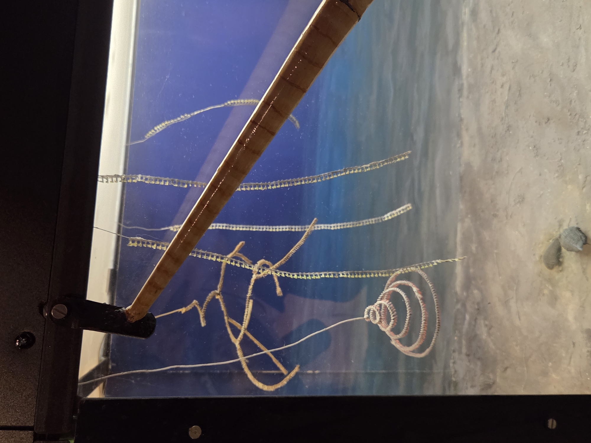 This image shows a close-up view of an exhibit, likely at an aquarium or museum, displaying marine life or a diorama. The foreground features a sandy seabed with a few small stones. In the mid-ground, suspended from above, are several strands of what appear to be marine eggs or larvae, hanging in wavy, chain-like structures. One strand is coiled into a spiral near the bottom. A wooden object, possibly part of the exhibit's structure or a display element, extends diagonally from the upper right towards the center. The background depicts a blue, watery environment with a hazy horizon, suggesting an underwater scene. The exhibit is enclosed within a glass tank, framed by dark structures on the left and top. The lighting suggests an indoor environment. The image does not contain any information to determine its location in Malmö, Sweden.