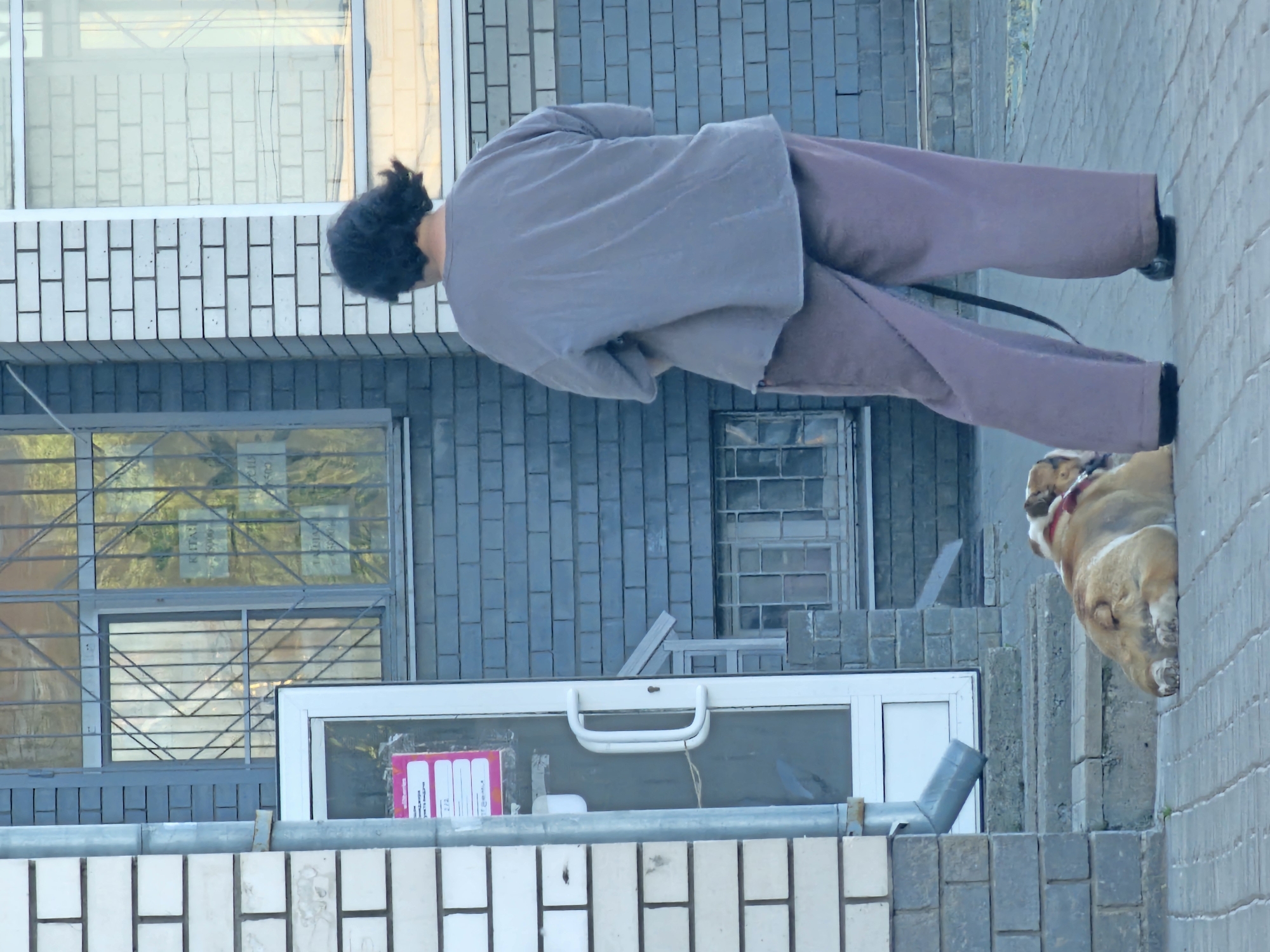 A person with dark, curly hair is shown from the back, wearing a grey long-sleeved shirt and light brown pants. They are standing on a sidewalk next to a brick building. To the right of the person, a bulldog is visible, appearing to be leaning over a low wall. The bulldog is light brown and white with a red collar. The scene appears to be outdoors on a paved surface with a brick building in the background. The building has windows, some of which are covered with metal bars or grates. A white framed window with a handle is also visible. The time of day seems to be daytime, and the weather is not discernible. The location is specified as Nizhny Novgorod, Russia. No discernible emotions are conveyed by the person, and the activity appears to be a person standing and a bulldog resting. There is some text on a pink and white label inside the white-framed window.