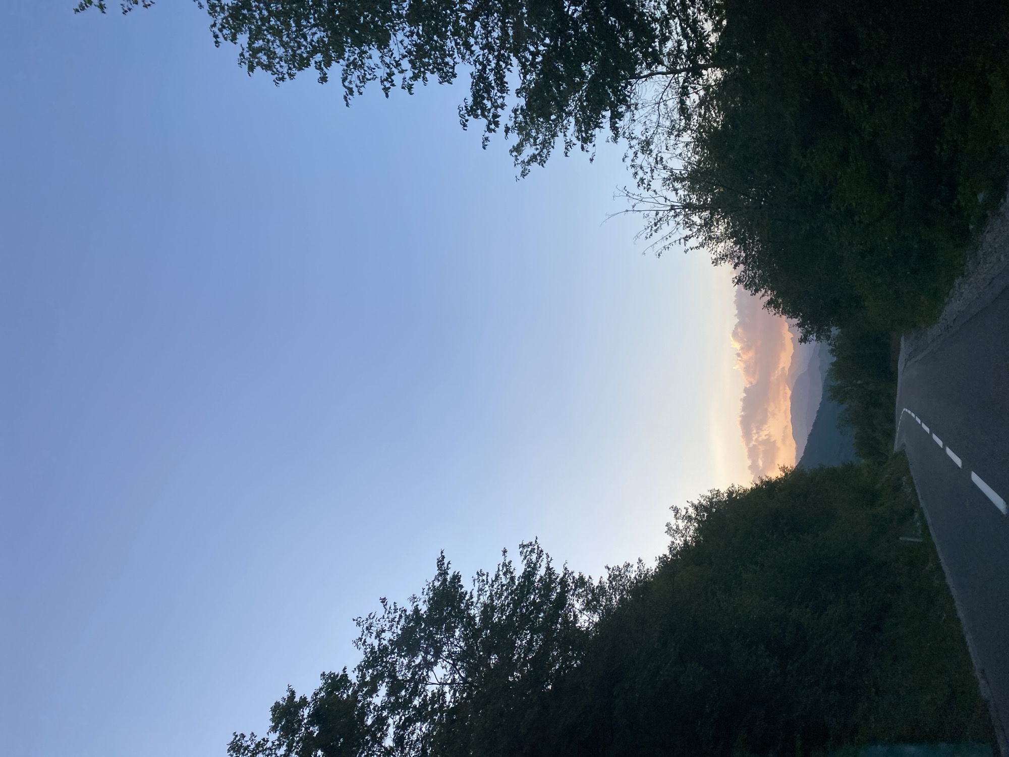The image depicts a winding asphalt road curving through a lush, green landscape during what appears to be twilight or early dawn. On either side of the road, dense foliage and trees create a natural frame, with the vegetation on the left appearing more dominant and the trees on the right more sparse. In the distance, mountains are visible against a sky that transitions from a clear, pale blue at the top to softer hues of pink and orange closer to the horizon, suggesting the presence of clouds catching the early or late sunlight. The road itself is marked with a white dashed line. The scene is devoid of any human presence or activity, focusing solely on the natural environment and the road that leads through it. The location is identified as being in the city of Šavnik, Montenegro.