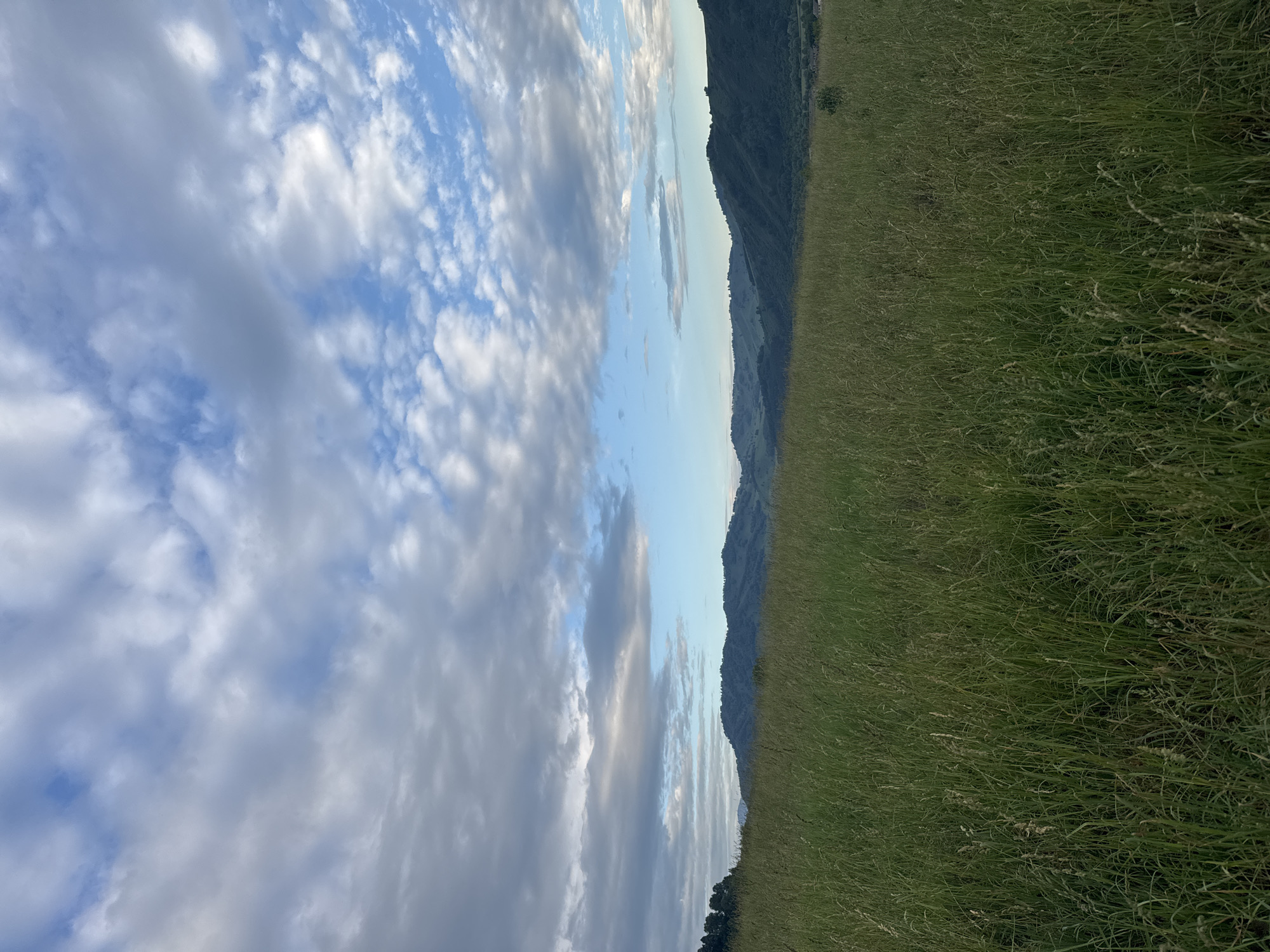 A wide, low-angle outdoor shot captures a lush, green meadow in the foreground, stretching towards a range of rolling, tree-covered hills in the background. The sky above is a mix of blue and white clouds, with dappled sunlight breaking through. The image is likely taken in or near the city of Soloneshnoye, Russia, judging by the characteristic landscape of the Altai Krai region, known for its rolling hills and vast meadows. There are no people or specific objects visible in the frame, making it a pure landscape photograph.