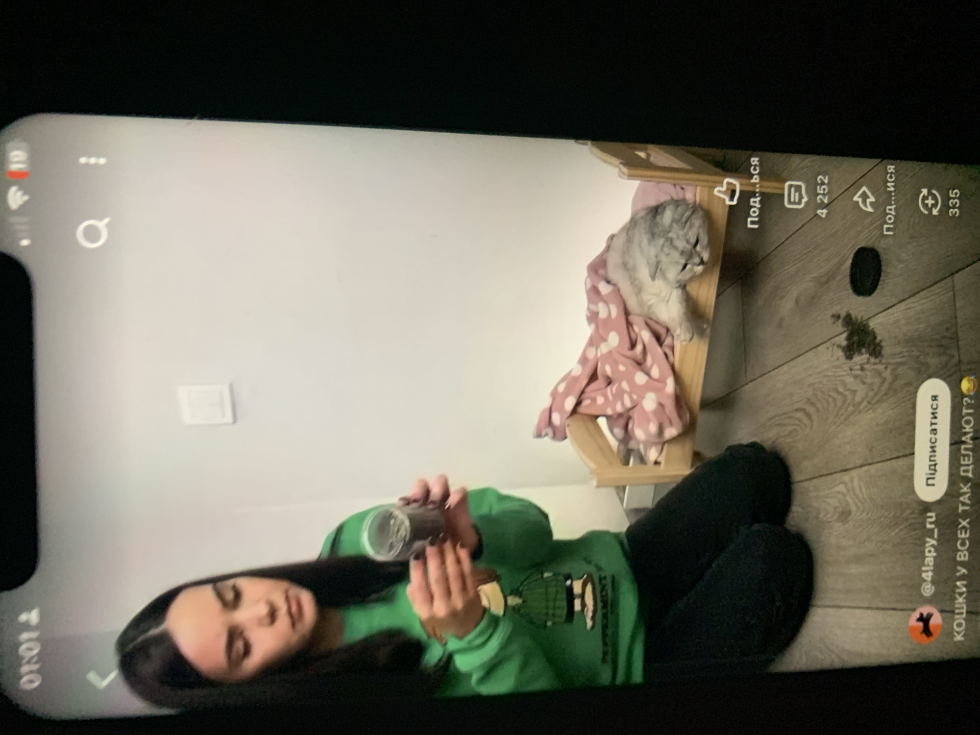 The image depicts a screen display, likely from a mobile device, showing a social media video. In the video, a young woman wearing a green sweatshirt with a graphic design is holding a clear cylindrical container with a dark substance inside. She is looking down at the container. To her right, a cat is lying on a small wooden bed with a pink blanket adorned with white polka dots. The background appears to be an indoor setting with a light-colored wall and a wooden floor. The screen also displays interface elements typical of a video-sharing platform, including icons for likes, comments, shares, and a profile name "@4lapy_ru" with the text "Подписаться" (Subscribe) and "КОШКИ У ВСЕХ ТАК ДЕЛАЮТ?" (Do cats do this all the time?). The time displayed in the top left corner is "01:01". There is no discernible information within the image that would suggest a specific location in the city of Zhmerynka, Ukraine.