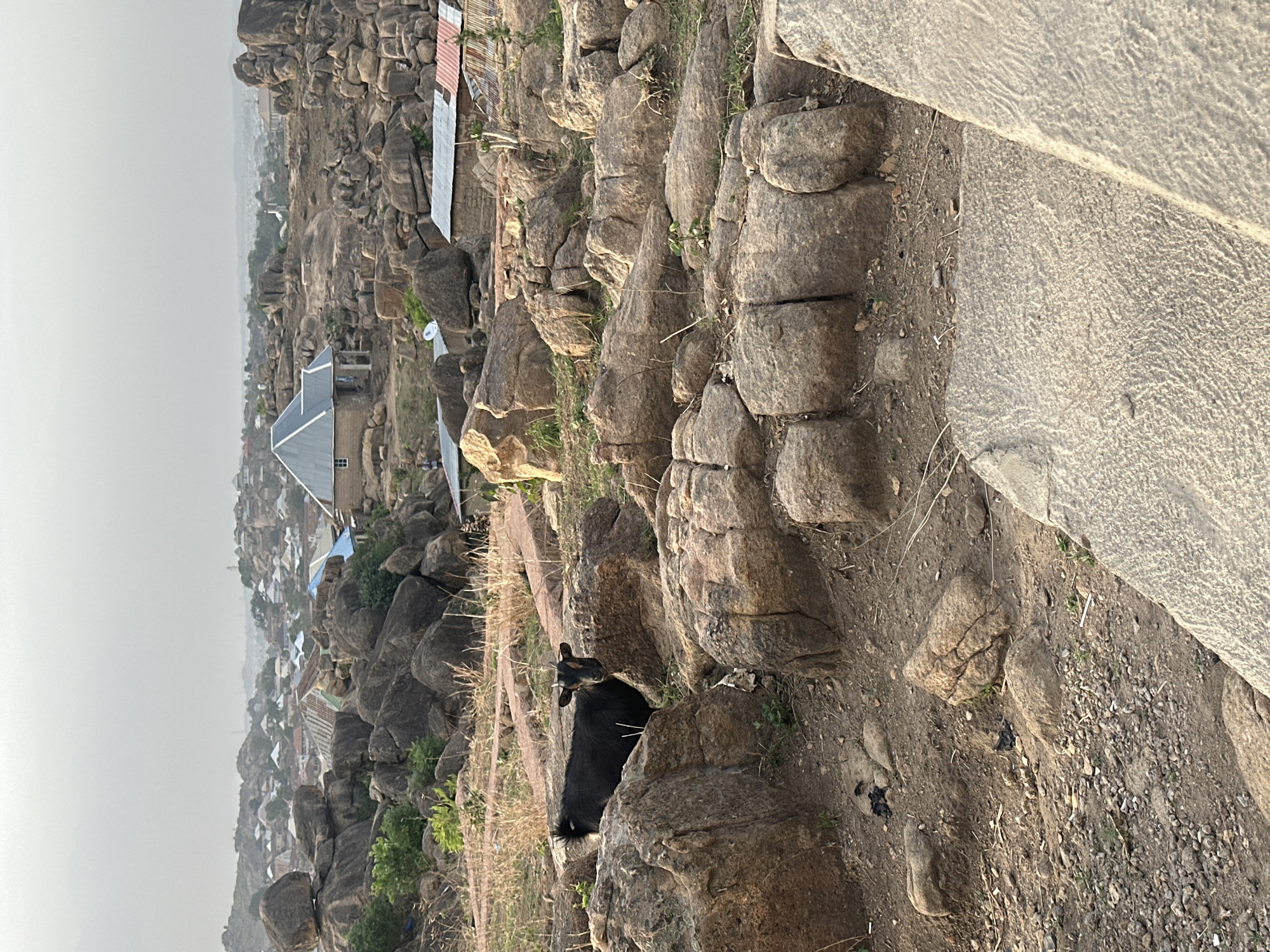 The image shows a view from a rocky hillside overlooking a town in Jos, Nigeria. The foreground features large, uneven stone formations and sparse vegetation. A black goat is perched among the rocks. In the background, a densely populated town with buildings of various sizes and roof types is visible. The sky is overcast. The image suggests a rugged, elevated landscape adjacent to an urban area.