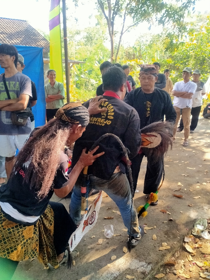 The image depicts an outdoor scene in Menjing, Indonesia, featuring a cultural gathering or ritual involving multiple individuals under bright daylight conditions.
In the foreground, a person with long, dark, wavy hair and a traditional head covering (blangkon) is positioned in a low crouch or kneel, facing away from the viewer. This individual wears a black t-shirt, a white undershirt, and a patterned gold and brown sarong. Their right hand is placed on the upper back of another male figure directly in front, while their left hand holds a white, shield-shaped object with red and brown circular patterns.
The central figure, a male, has his back towards the viewer. He wears a black long-sleeved shirt with a red collar, blue jeans, and dark sneakers. The back of his shirt displays yellow text, "COBO AMBIREJO" and "ANDIREJO". A long, dark, tail-like prop, possibly representing a horse's tail, extends from his lower back towards the ground, with a decorative base. He appears to be leaning forward, engaged with another male figure standing opposite him.
This third central figure, an older male, faces the camera. He wears a black long-sleeved shirt and black pants, topped with a traditional head covering similar to a blangkon. His right hand rests on the left shoulder of the individual with his back to the camera. Near his feet, he holds a decorated, whip-like object with yellow and green adornments.
To the left of the scene, partially visible, is a male in a grey t-shirt and white shorts, carrying a small satchel. Behind him, an older female in a light green collared shirt stands with her arms crossed, observing. Further in the mid-ground and background, several other individuals are present, some observing the central interaction, including one male in a white t-shirt and light pants with arms crossed.
The environment consists of a dry, uneven dirt and concrete ground scattered with fallen leaves and a clear plastic cup. In the background, green foliage and trees are visible, suggesting a rural or semi-rural setting. Structural elements include a partial view of a building with a tiled roof, a blue tarp or tent structure, and a tall vertical pole with a yellow and purple banner. The scene is illuminated by strong sunlight, casting distinct shadows.