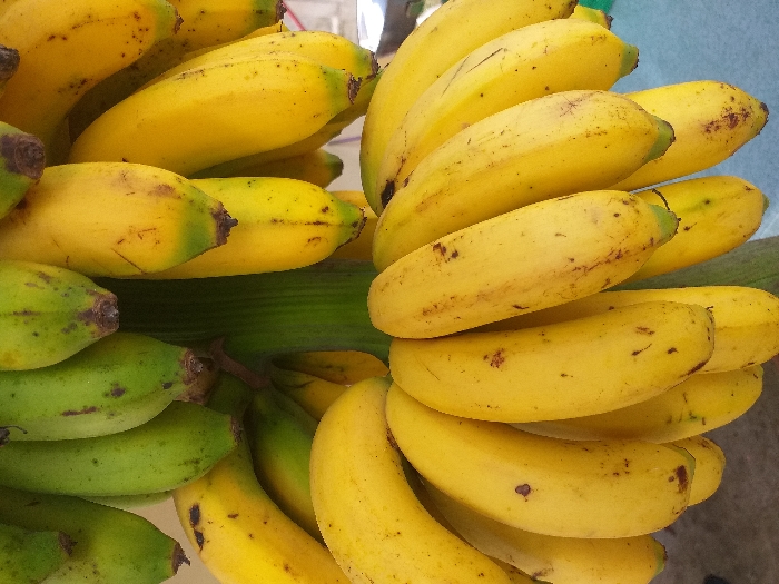 This image, located in Mns Alue, Indonesia, depicts a large cluster of bananas hanging from a thick green stalk. The cluster consists of multiple hands of bananas, displaying varying stages of ripeness. The majority of bananas are fully ripe, appearing bright yellow with scattered small brown blemishes. Several bananas exhibit partial ripeness, showing a mix of yellow and green coloration, particularly at their ends. A few bananas are distinctly green, indicating an unripe state. The central stalk is robust, green, and shows vertical striations. The background is out of focus, appearing as an indistinct light-toned surface. No individuals, specific actions, or other discernible objects are present in the scene.