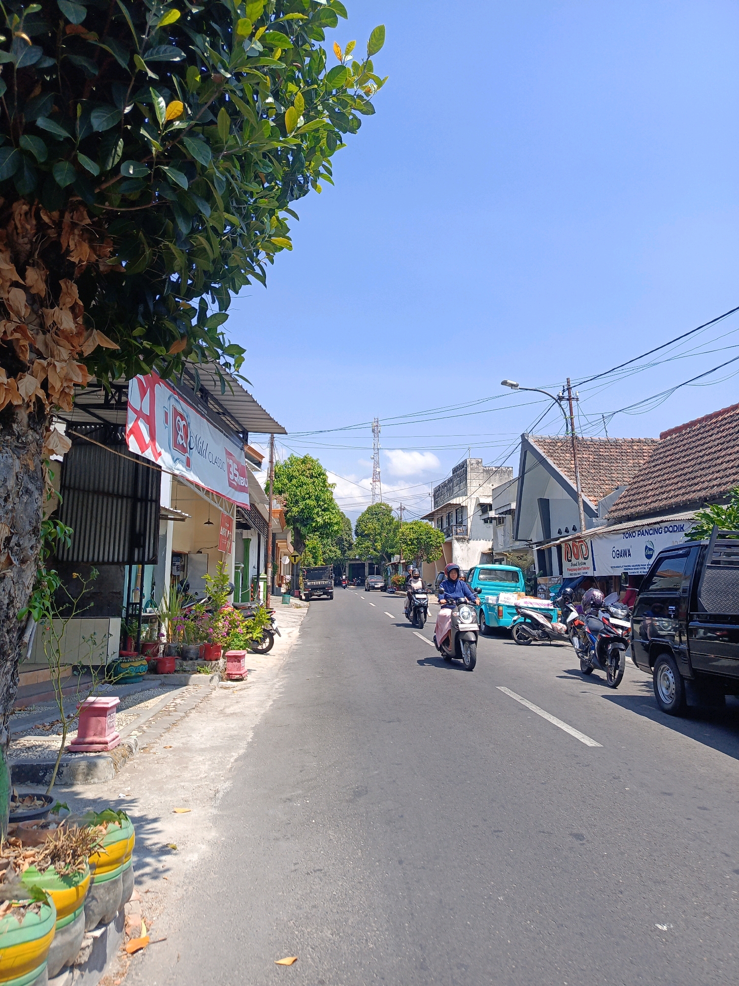 The image depicts a street scene in Kebonagung, Indonesia, under a clear blue sky. On the left side of the road, a row of single-story buildings lines the street, featuring storefronts with awnings and advertisements. One banner displays "MILD CLASSIC 35 REMBO." Several potted plants are arranged along the sidewalk, and a tree with dark leaves and dried foliage partially obstructs the view of the buildings.
The road itself is paved and has a white line marking the center. Traffic is present, with several motorcycles and at least two cars visible. Two people are riding motorcycles in the foreground, and another motorcycle is parked on the side of the road. A light blue truck is also in motion on the street, accompanied by other vehicles. In the distance, a tall telecommunications tower can be seen, and more buildings and trees are scattered along the roadside. The overall impression is of a typical sunny day in a populated area.