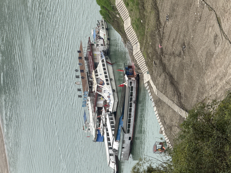 The image depicts a river scene in Furong, China. A collection of diverse vessels is moored in calm, light green water. A large, multi-story floating structure with a brown roof, featuring Chinese characters including "中国海事" (China Maritime Safety Administration) and "中国福泉," serves as a central mooring point. Connected to this structure are several boats: a modern white patrol boat or yacht with a red stripe, bearing the number "2407" and possibly "ZHOU HAI" on its hull; and multiple elongated white passenger boats with numerous windows. Separately, a long, two-deck grey and white boat with two red flags on its stern is moored closer to the shore. A small, partially obscured boat with a red canopy is visible near the lower left riverbank.

The riverbank itself features two sets of ascending concrete stairs. The ground on the bank is largely dry, cracked earth, showing signs of low water levels, with sparse patches of green vegetation and taller green trees/bushes to the left. Objects on the cracked earth include a small piece of pink/red fabric and two dark circular objects, possibly tires. No individuals are clearly visible.