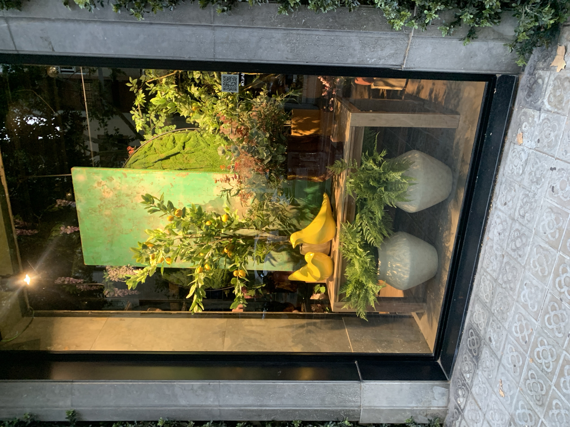 The image shows a street-level storefront display window in Barcelona, Spain. The window features a decorative arrangement of plants, pots, and ceramic birds. In the center, a small tree with yellow fruit is visible, accompanied by two bright yellow ceramic bird figurines. Behind these, various potted plants with green and reddish foliage are displayed. A large, textured green panel serves as a backdrop for some of the plants. Two large, light-colored vases holding ferns are placed in the foreground. The display is set on a wooden table. The sidewalk in front of the window is paved with decorative tiles featuring a floral pattern. The building facade appears to be made of stone or concrete, with greenery visible on the exterior to the right. Reflections in the window show the building opposite and trees. The overall scene suggests a florist or a home decor shop.