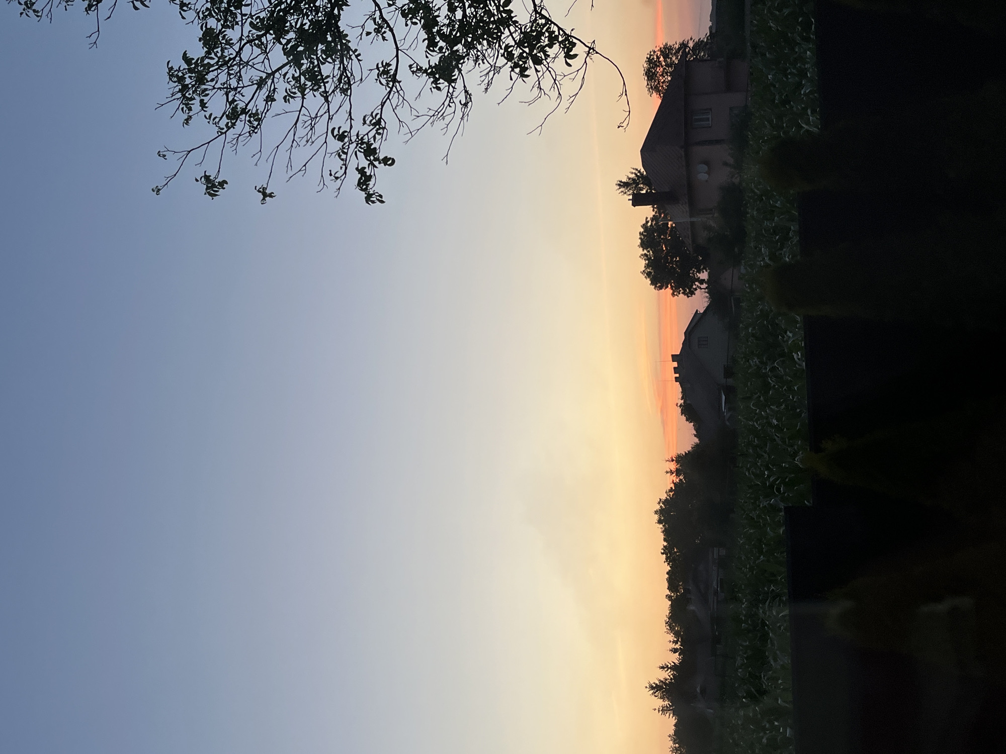 The image depicts a serene rural landscape at dusk, featuring a field of tall green crops in the foreground, possibly corn, separated by a dark fence. Beyond the field, several houses are visible, nestled amongst trees. The sky transitions from a pale blue at the top to hues of orange and pink near the horizon, indicating the sunset. A silhouette of a deciduous tree branch with sparse leaves is visible in the upper right corner. The scene appears to be located in a rural area outside the city of Koroviia, Ukraine. No people are present in the image.