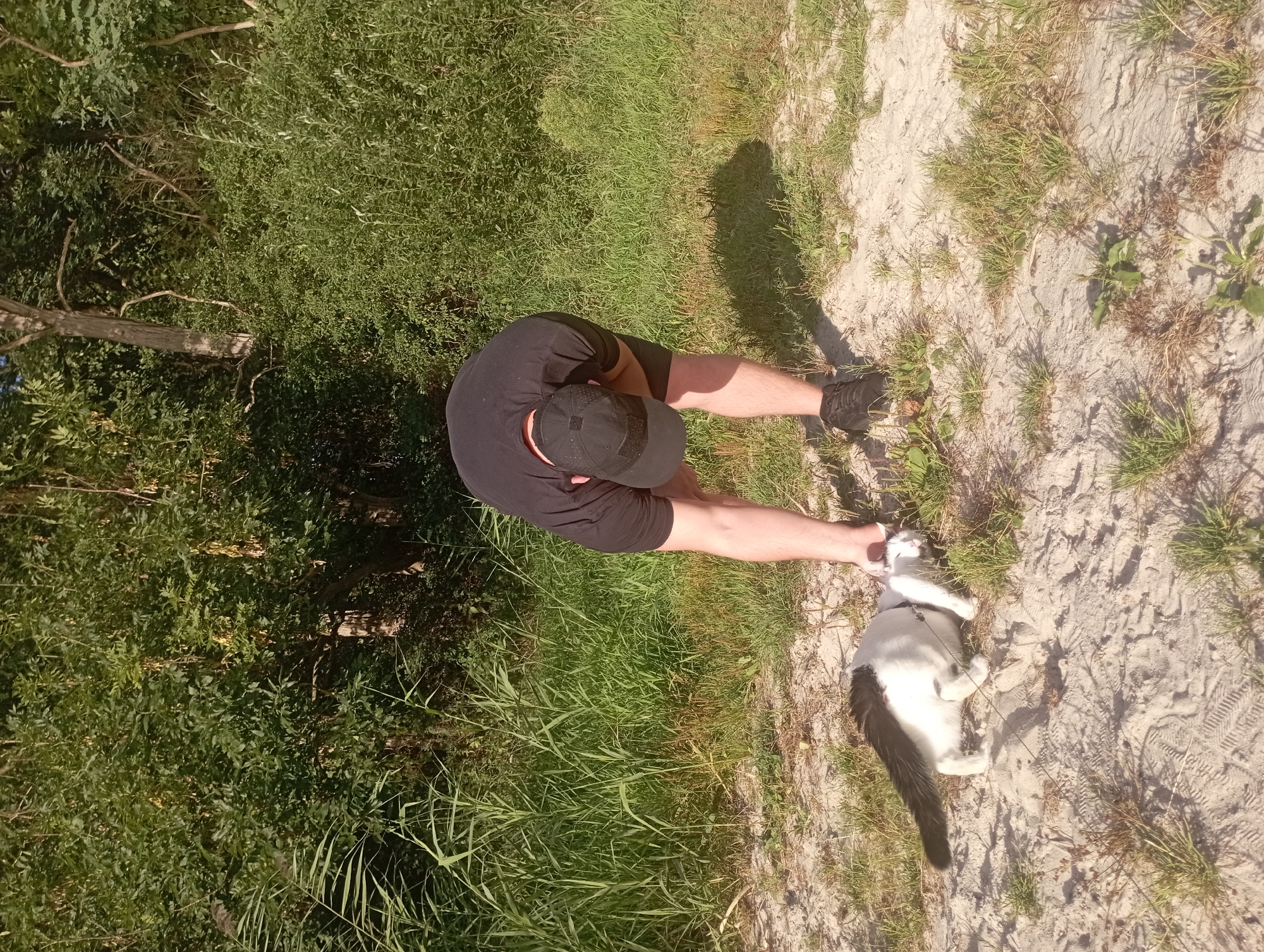A person wearing a black t-shirt, black shorts, a black baseball cap, and black athletic shoes is bending down to interact with a black and white cat. The cat is lying on its side on a sandy surface with patches of dry grass. The cat appears to be on a leash. In the background, there is dense green foliage, including trees and tall grass. The scene is outdoors in natural light. Based on the provided coordinates, the location is a natural area in Szczecin, Poland.