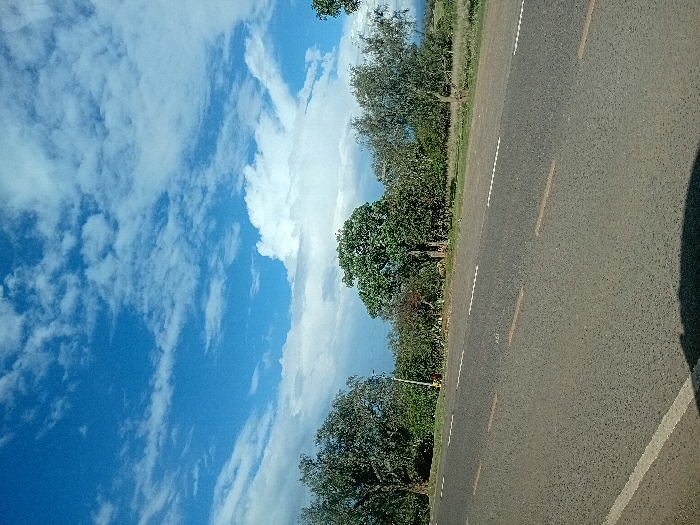 The image displays a roadside landscape in Naro Moru, Kenya, under a blue sky with scattered white cumulus clouds. A two-lane asphalt road, marked with faded white dashed lane lines and faint yellow dashed center lines, extends from the lower-left foreground towards the background, slightly curving right. A solid white line borders the left edge of the visible road surface. A dark, undefined shadow occupies the immediate lower foreground of the road. Along the right side of the road, a dense band of green vegetation, consisting of various trees and shrubs, is present. A light-colored pole is partially obscured within this vegetation in the middle-left background. Beyond the immediate foliage, the terrain features sparser trees and open ground, leading to indistinct, hazy hills or mountains on the distant horizon. No individuals, vehicles, or active subjects are clearly identifiable within the frame. The scene is static.