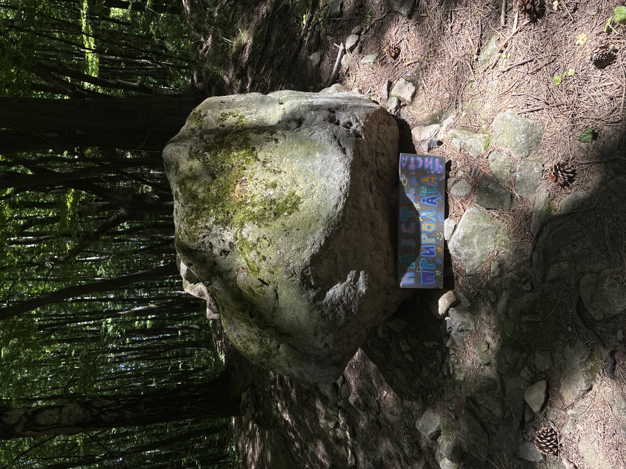 A medium shot of a forest setting with a large, moss-covered rock in the foreground. The rock is positioned to the left of the frame and appears to be sitting on a rocky, pine needle-covered forest floor. Next to the rock is a colorful sign with writing in Cyrillic script. The background features a dense forest with tall trees, creating a shaded environment. The scene is located near Sofia, Bulgaria, based on the Cyrillic writing.