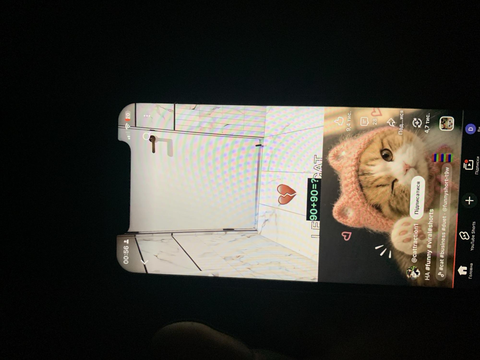 The image shows a close-up of a smartphone screen displaying a TikTok video. The video features a cat wearing a pink knitted hat. Text overlays on the video include "LE 90+90=? CAT", " @cattraction1", "Підписатися", "HA #funny #viral#shorts", and "#cat #business #duet #funnyshort-t9w". Below the video, there is a YouTube Shorts interface with icons for "Головна", "YouTube Shorts", and a plus sign. The time displayed at the top of the phone screen is "00:56". There is no information in the image to suggest a specific location in Zhmerynka, Ukraine.