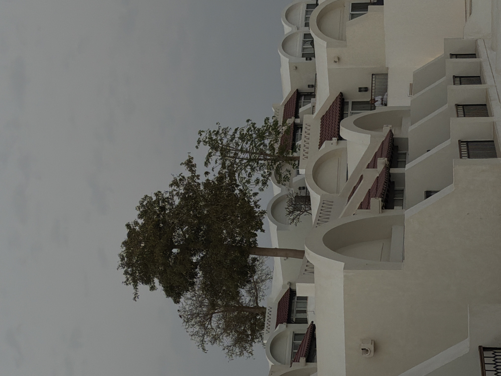 The image shows a multi-story building, likely a hotel or resort, in Sharm El Sheikh, Egypt. The building is white with arched balconies and windows. A tree with green foliage is positioned in front of the building, partially obscuring the facade. The sky is overcast and gray. The architecture is typical of the region, with its emphasis on light colors and rounded forms.