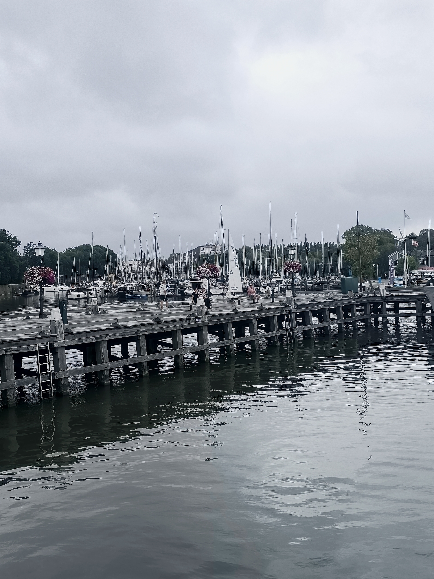 The image depicts a marina in Hoorn, Netherlands, under an overcast sky. A wooden pier stretches across the foreground, with several people visible walking and standing on it. To the left, a lamp post adorned with red flowers stands near the pier's edge. Beyond the pier, numerous sailboats are docked, their masts creating a dense forest of vertical lines against the sky. The water is calm, with reflections of the pier and boats visible on its surface. Trees and buildings line the background, suggesting an urban waterfront setting. The overall atmosphere is muted, consistent with the cloudy weather.