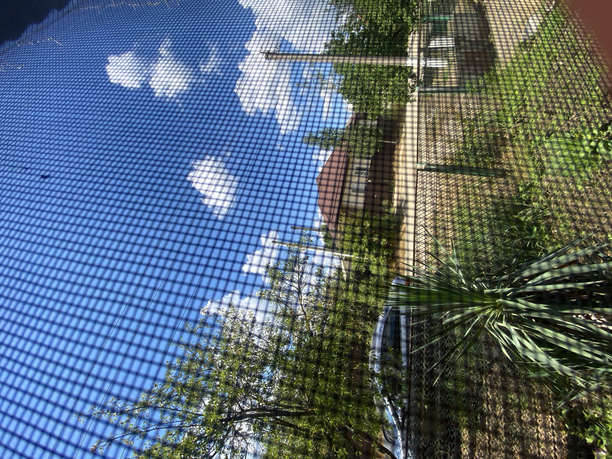 The media file is an upward-facing, high-angle shot of an outdoor scene, taken through a window screen, casting a grid shadow over the entire image. The primary subjects are the sky, foliage, and a building.
The sky is a vibrant blue with scattered white clouds, suggesting a clear and sunny day. The sunlight casts a distinct grid pattern from the window screen, creating a visually textured effect across the scene.
In the mid-ground and foreground, lush green trees are visible, with leaves and branches catching the sunlight. A portion of a building with a reddish-brown roof and windows is partially obscured by trees and the screen's shadow. To the right, there is a patch of green grass and a spiky, succulent-like plant. A sliver of a car is visible on the right side of the image, reflecting some of the surrounding light. The presence of trees, a building, and a car suggests a residential or semi-urban environment.
The scene appears to be captured during daylight hours due to the bright sunlight and clear sky. The location context provided is Akhtyrskiy, Russia. No people are visible in the media file, and there is no visible text. The overall mood conveyed is one of a bright, outdoor day, filtered through an urban or domestic barrier.