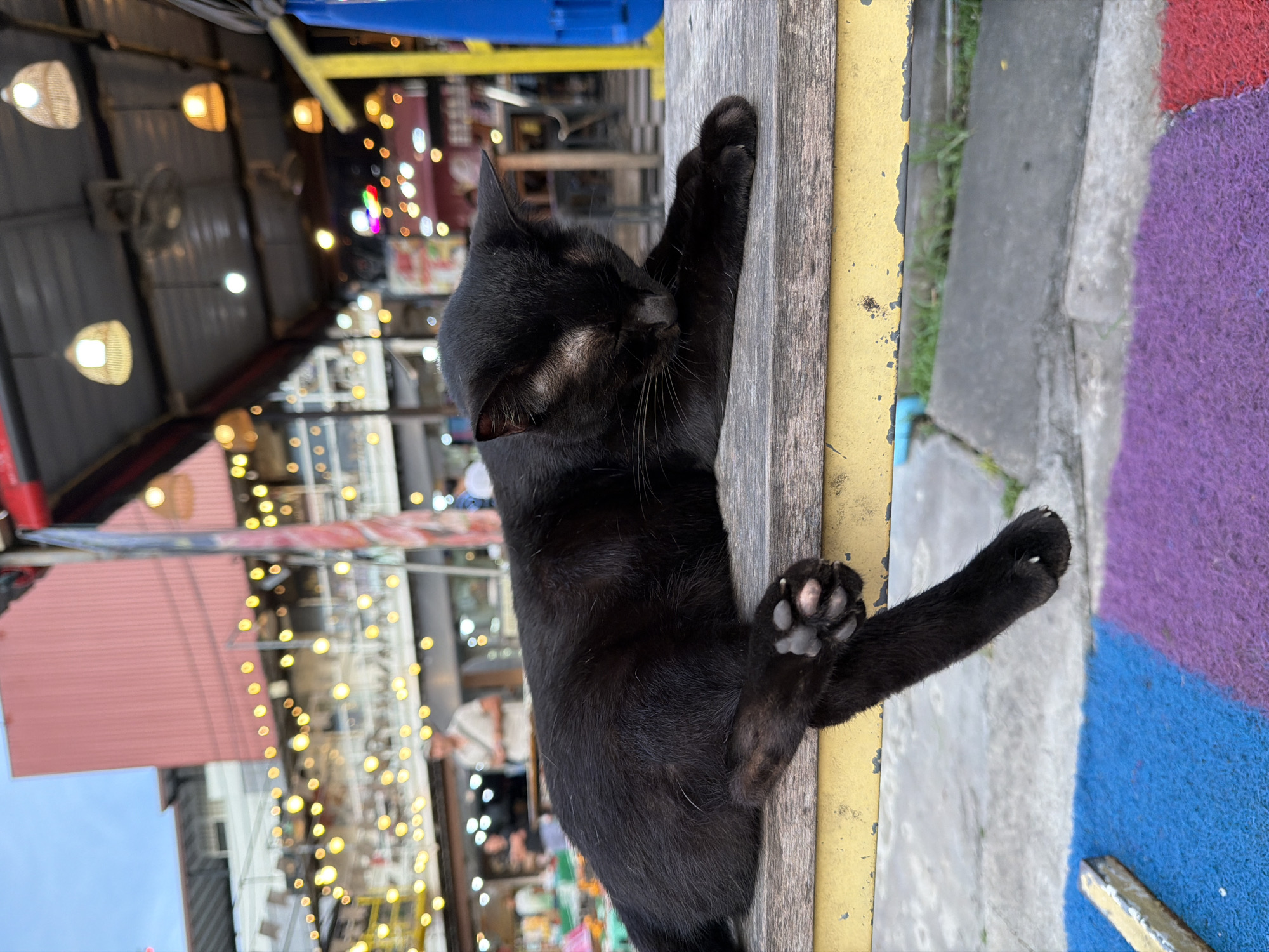 A black cat is resting on a wooden bench in an outdoor market setting, likely in Phuket City Municipality, Thailand. The cat is lying on its side with its head down, appearing to be asleep or relaxed. Its paws are visible, with one paw extended over the edge of the bench. The bench itself has a yellow metal frame. In the background, there are various market stalls, string lights, and people walking around. The environment suggests a lively evening atmosphere in a tourist area. The ground in front of the bench is covered with colorful mats, and there are concrete pathways and some greenery visible.