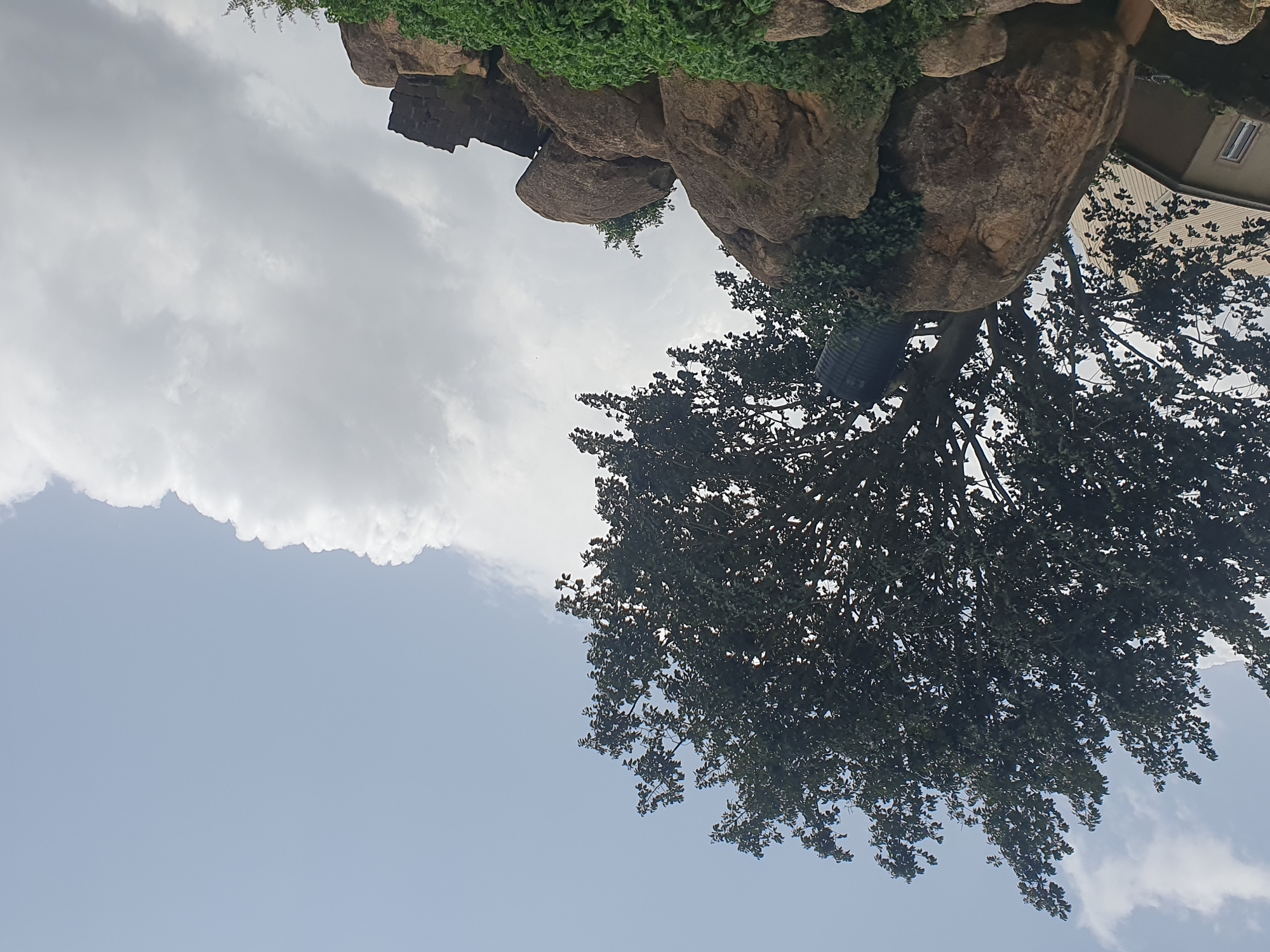 The image captures a natural rock formation topped with a large tree, situated on the outskirts of Gura Top, Nigeria. The tree's dense foliage contrasts with the clear, pale blue sky, which is partially obscured by white, puffy clouds. At the base of the rock formation, lush green vegetation thrives. A portion of a building with a metallic roof is visible in the lower left quadrant, suggesting proximity to human habitation. The rock formation itself is composed of large, weathered stones, some of which are covered in small patches of greenery. A dark, cylindrical object, possibly a water tank, is perched on the rocks near the base of the tree. The overall scene depicts a serene, natural landscape with hints of human presence.