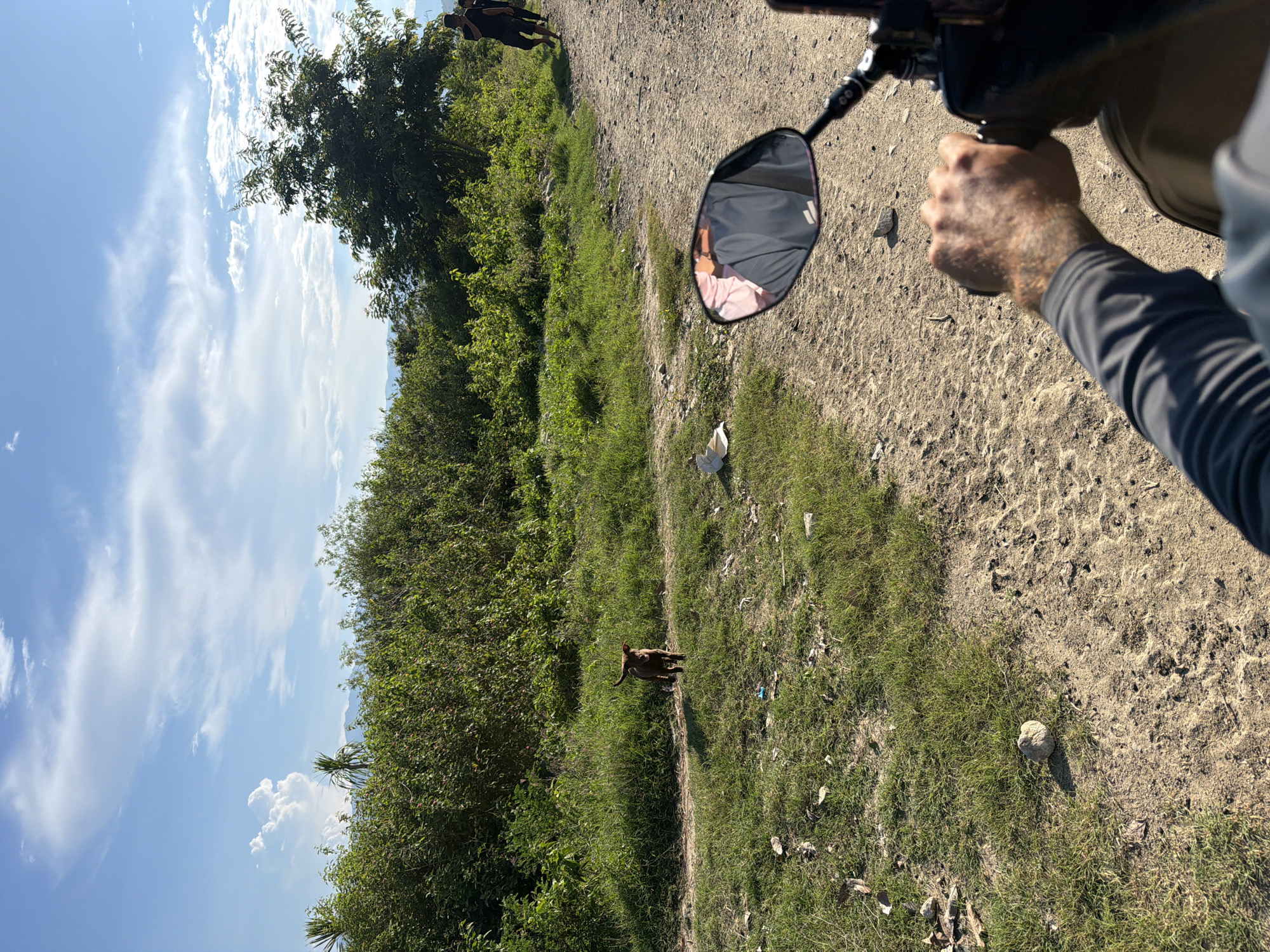 The image depicts a dusty, unpaved road in what appears to be a rural area outside the city of Cam Lam, Vietnam. The road is flanked by dry, patchy grass and dense green foliage. In the foreground, the perspective is from the viewpoint of someone riding a motorcycle, with a hand gripping the handlebar. A motorcycle mirror reflects a person wearing a pink shirt and gray clothing.
Further down the road, a small, brown dog is standing in the grass, looking towards the camera. To the right side of the road, three individuals are walking away from the camera. The sky is a clear blue with scattered white clouds, and a range of distant hills can be seen. Scattered on the ground are various pieces of debris, including what looks like discarded paper. The overall scene suggests a warm, sunny day in a developing area.