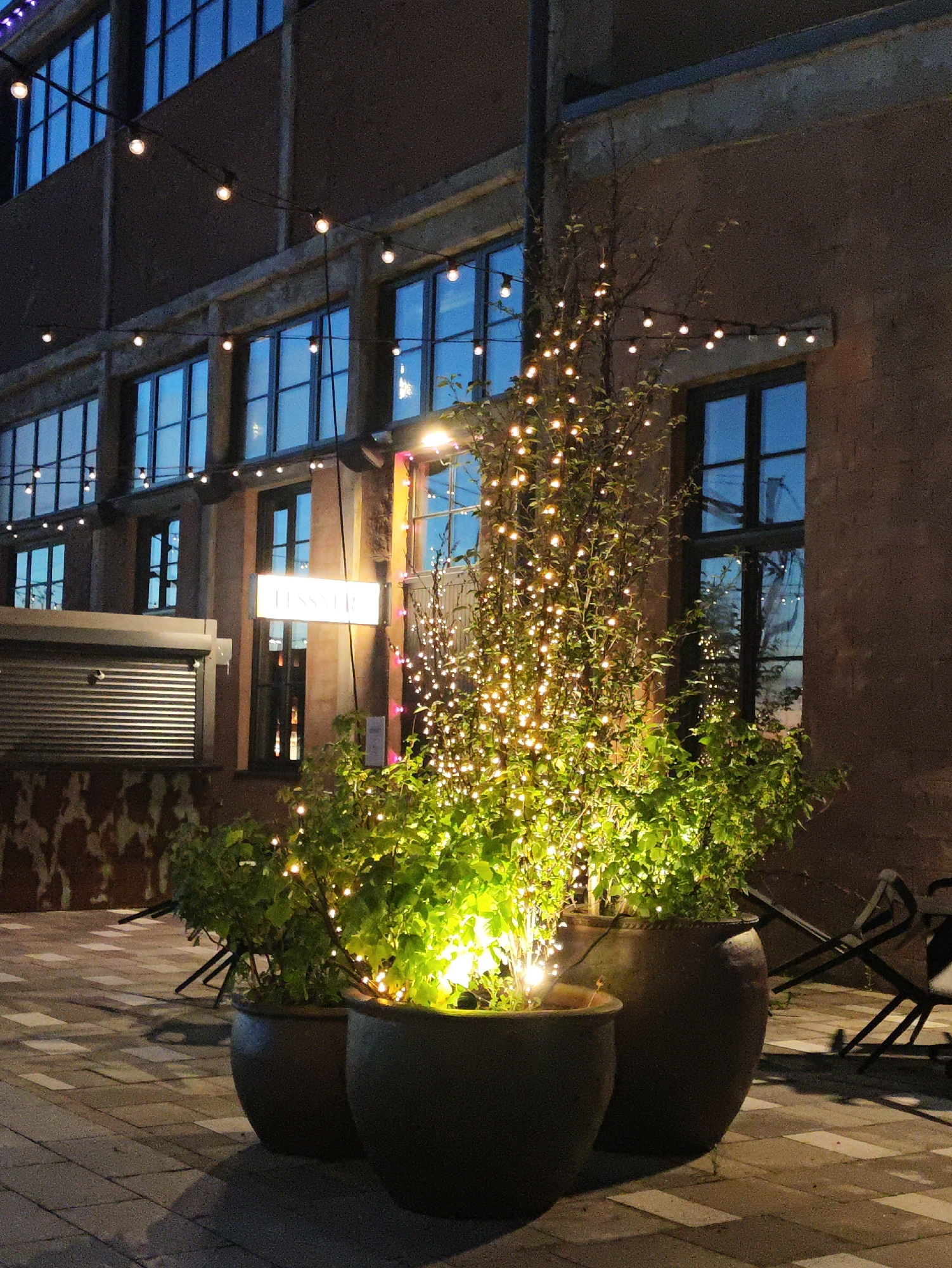 The image captures an outdoor scene at night in the city of Tallinn, Estonia, specifically in the Telliskivi Creative City complex. The foreground features three large, dark-colored planters holding lush green plants, with one plant intricately wrapped in a string of warm-toned fairy lights, creating a festive ambiance. Behind the planters, a building facade made of brick is visible, featuring multiple large windows. A white rectangular sign with text that reads "LESSER" is illuminated and mounted on the facade. Above the windows, a string of round, warm-toned bulbs is strung horizontally, adding to the outdoor lighting. The ground is paved with interlocking rectangular stones that form a geometric pattern. In the background, several dark metal chairs are partially visible, suggesting an outdoor seating area. The overall atmosphere is dimly lit, with the fairy lights and building lights providing the primary illumination.