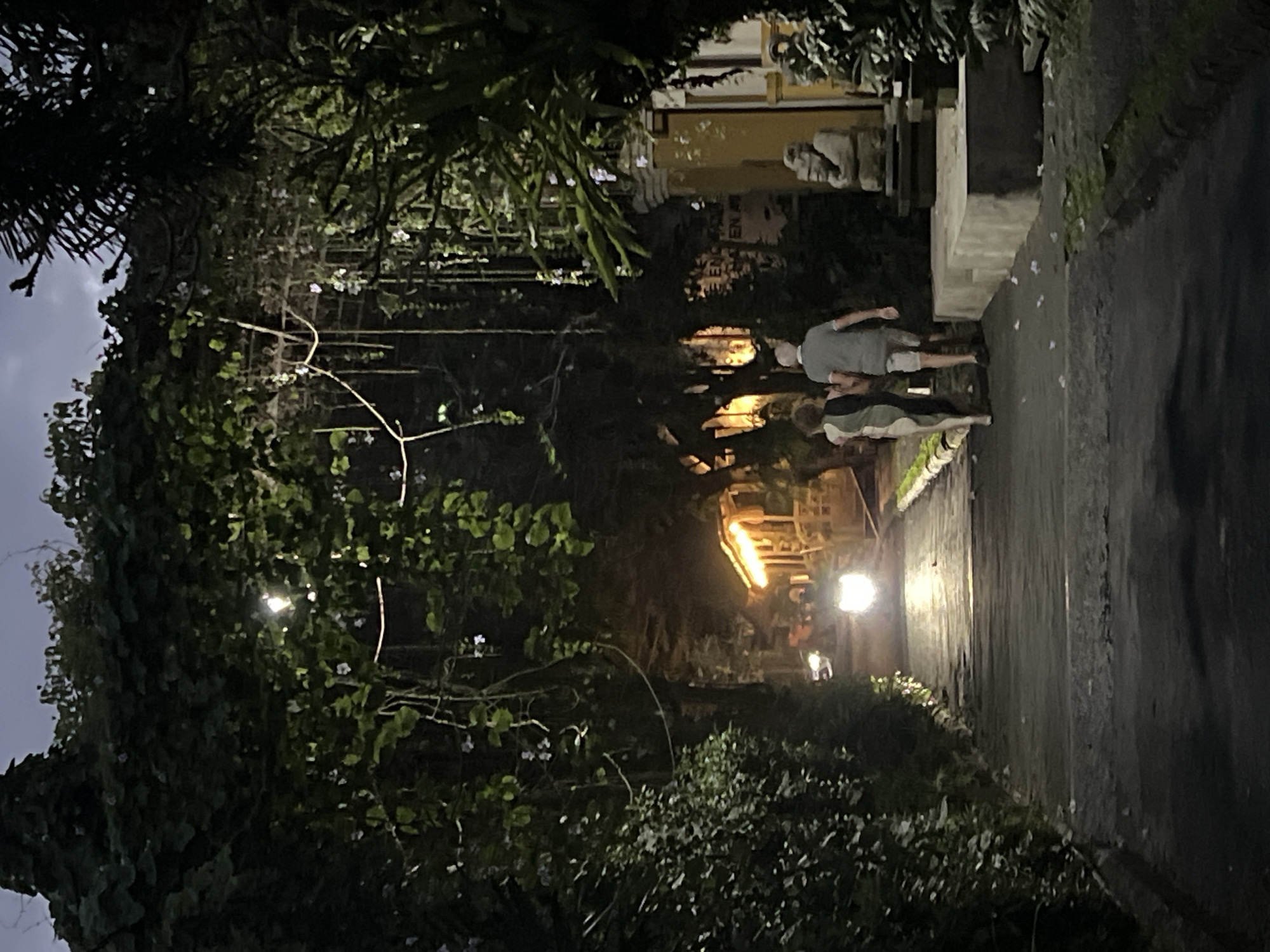 Captured in the Ubud District of Indonesia at night, the image presents a scene along a narrow, possibly damp, stone or paved road flanked by dense tropical vegetation. A couple is walking along the road, with the individual closest to the camera wearing a light-colored jacket, and the other in a gray shirt and shorts. Structures in the background, likely religious sites or dwellings, are illuminated by warm, artificial light. Streetlights and vehicle headlights are visible further down the road. The vegetation consists of a mix of trees, bushes, and climbing vines, creating a lush, somewhat overgrown environment. The sky is visible in the upper left corner, showing a twilight hue. The road's surface reflects the ambient light, indicating a recently wet or humid environment.