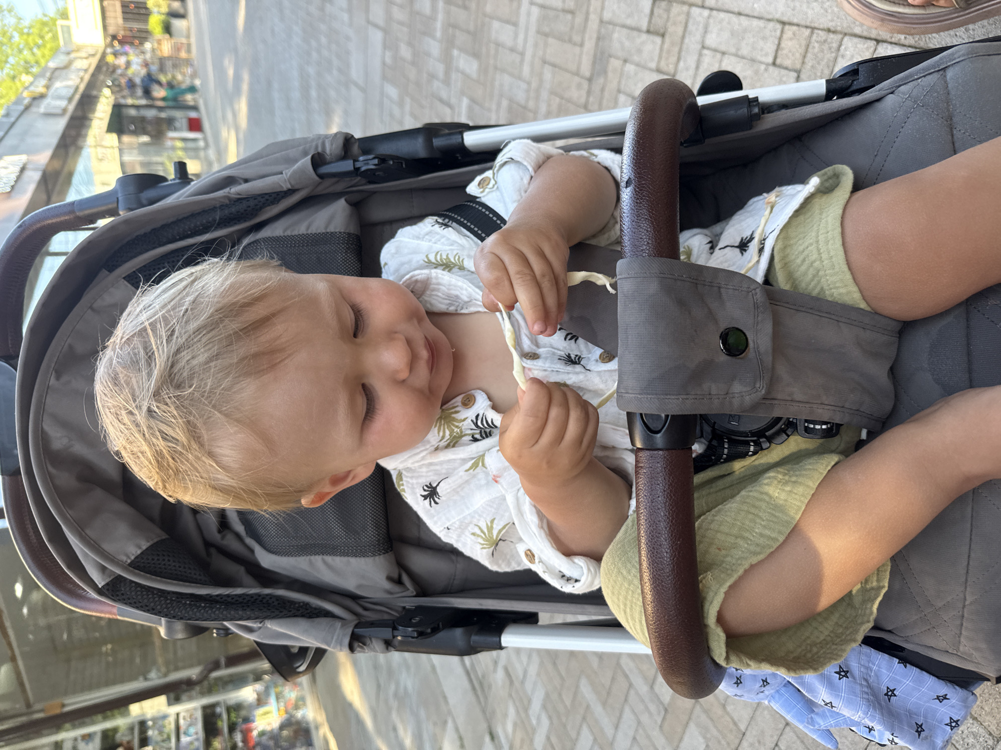 A close-up, eye-level shot shows a young Caucasian toddler with blonde hair sitting in a stroller on a paved walkway in Sochi, Russia. The toddler is wearing a light-colored shirt with a tropical leaf print and light green shorts. They are looking down and playing with a string-like object held in their hands. The stroller is gray with a brown handle. In the background, there are shops with awnings and trees. The lighting suggests it is daytime, possibly late afternoon due to the warm, golden light.