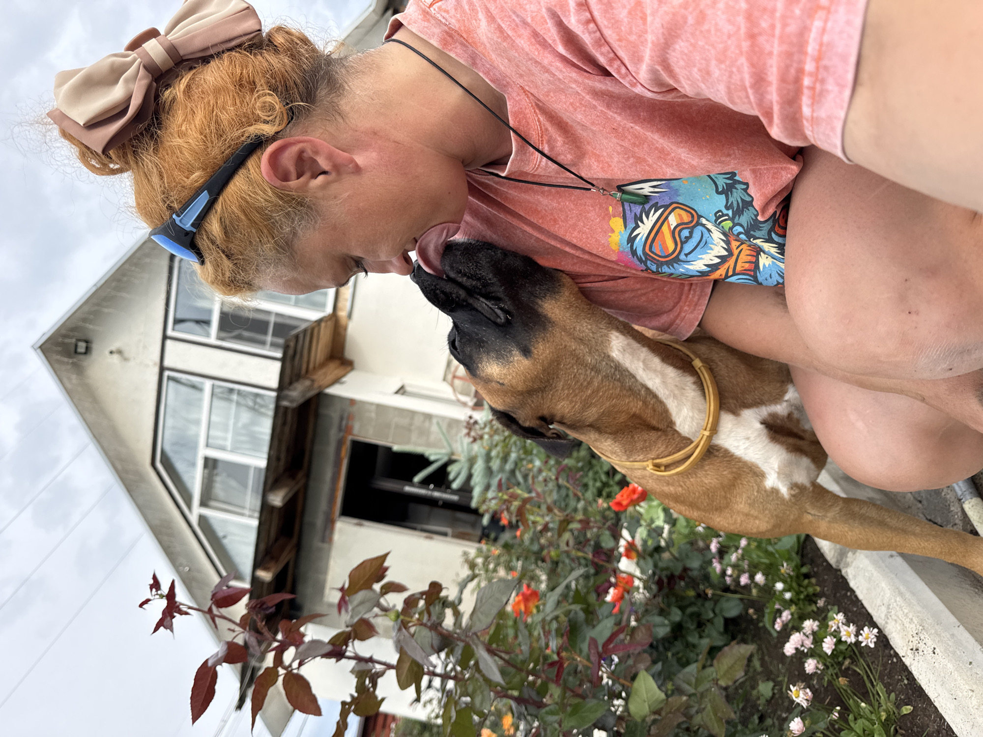 In Chaikovsky, Russia, a person with ginger hair styled in a bun and adorned with a large bow and sunglasses is being licked on the face by a brown and white boxer dog. The person is wearing a peach-colored t-shirt with a colorful graphic of a cartoon character wearing goggles and a blue beanie. A dark cord necklace with a green pendant hangs from their neck. They are seated in a garden with blooming orange and pink flowers, and a white border. In the background, a two-story house with a prominent triangular window and a partially visible doorway is visible. The sky is overcast.
