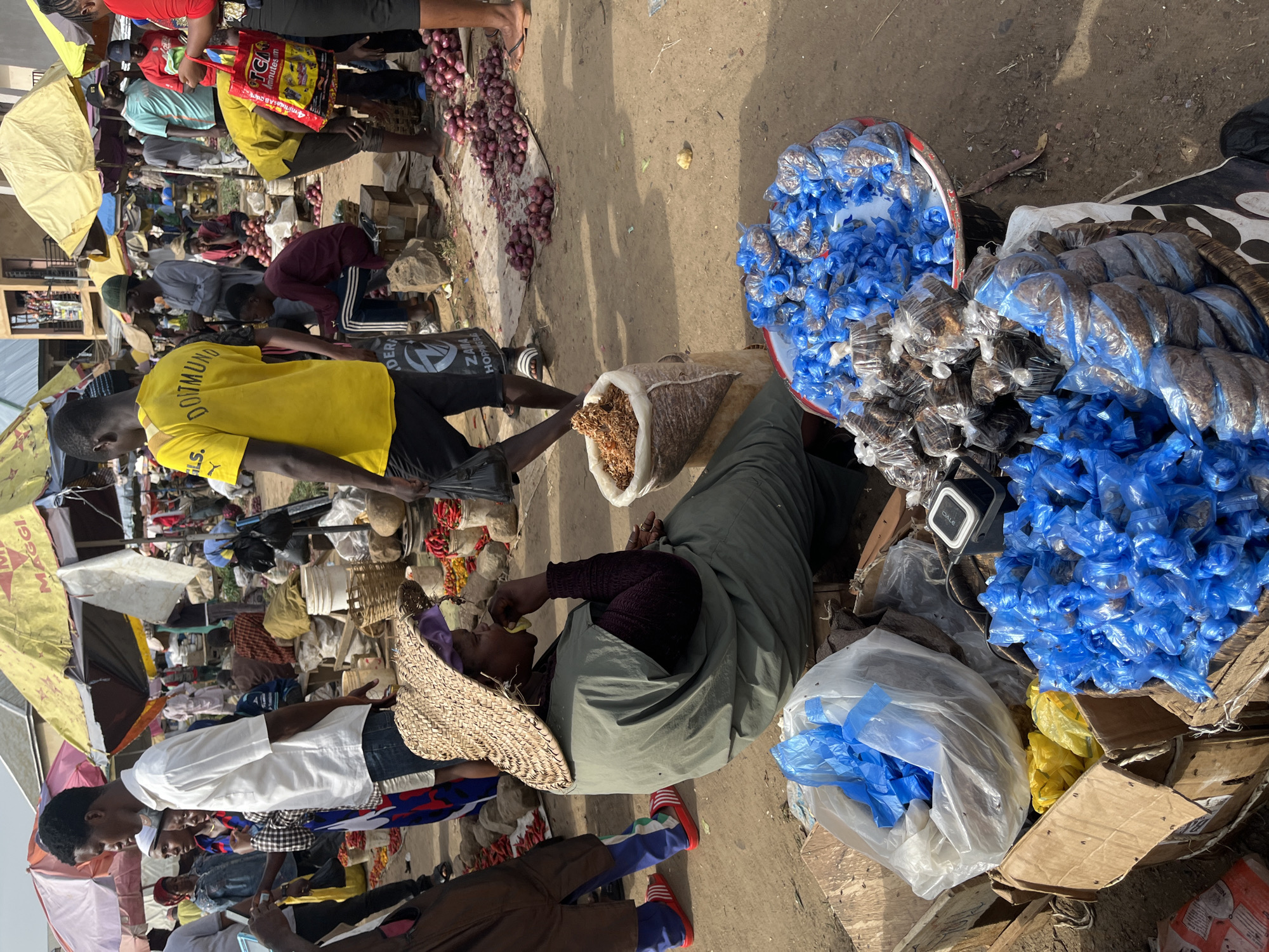 This media file depicts a bustling market scene in Rafin Par, Nigeria. The image is oriented vertically, presenting a ground-level view of a marketplace filled with people and various goods. The primary subjects are several individuals, appearing to be vendors and shoppers, engaged in market activities. They are dressed in casual clothing, with one person wearing a bright yellow t-shirt with "DORTMUND" written on it.
Objects prominently featured include piles of red onions, baskets of produce, and numerous plastic bags filled with what appear to be dried goods or spices. Some bags are bright blue, while others are clear, revealing the contents within. There are also some crates and cardboard boxes used for display and storage. A straw hat is visible on one individual, suggesting a warm climate. Umbrellas, one yellow and one pink, are also present, likely providing shade from the sun.
The scene is set outdoors, on a dirt or sandy ground, indicative of a traditional market. The lighting suggests it is daytime, possibly morning or afternoon, with clear, bright sunlight casting shadows. The overall atmosphere seems active and busy, typical of a marketplace where transactions and interactions are ongoing. One person is seen holding what looks like a piece of fruit and bringing it to their mouth, suggesting they are eating or sampling something.
There is some visible text in the image. The yellow t-shirt has "DORTMUND" and "ELS." printed on it. A red and yellow bag has "MAGGI" written prominently. Some other text is present on bags and packaging but is not clearly legible. The overall impression is a vibrant and lively market environment in Nigeria.
