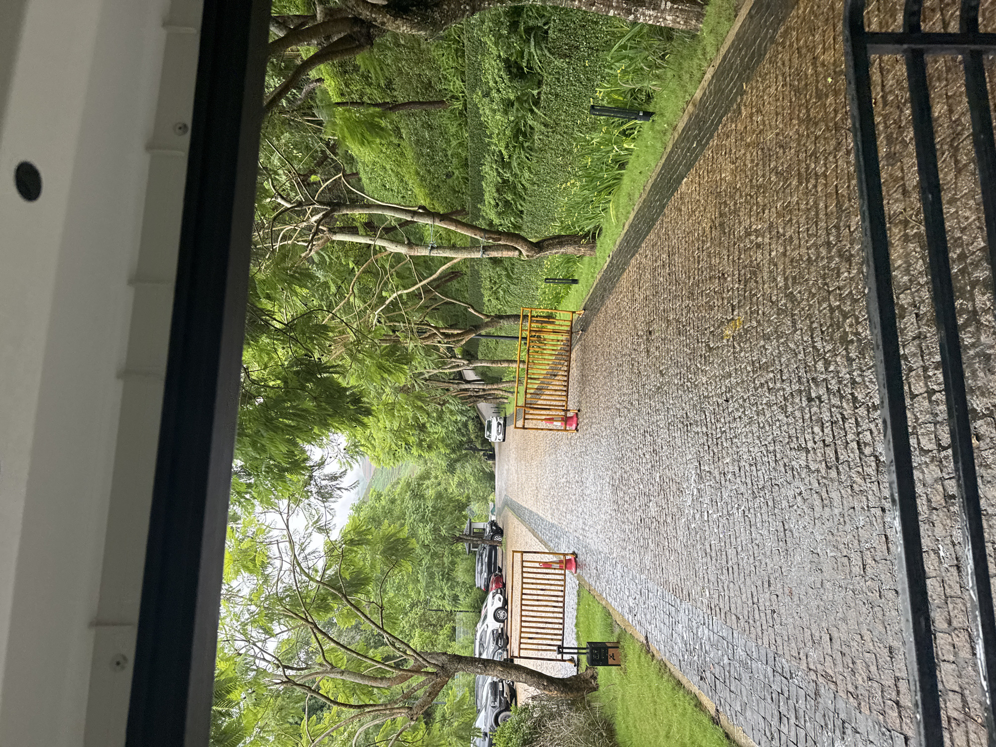 The image, taken from a slightly elevated vantage point, looks down a long, paved driveway constructed of cobblestones, receding into a lush green landscape. The scene is framed on the left by a white wall or doorway and on the right by a black metal gate.
The driveway is flanked on both sides by abundant greenery, including mature trees with verdant canopies and dense undergrowth or hedges. Short, well-maintained green grass lines the edges of the paved path. Approximately halfway down the visible stretch, two yellow metal barriers, each with a red traffic cone, are placed on either side of the driveway, suggesting a controlled entry or a temporary demarcation.
Several cars of various colors (white, black, red) are parked along the left side of the driveway beyond these barriers. In the distant background, hazy green hills or mountains are faintly visible beneath a bright sky. The cobblestone road appears wet and slightly reflective, indicating recent rain or damp conditions. The lighting is natural and bright, characteristic of daytime, possibly under an overcast sky.
No people are present, and there is no discernible activity taking place, lending a tranquil atmosphere to the scene. No legible text is visible within the frame. The overall impression is one of a well-maintained access road or entrance within a natural, verdant setting, consistent with the location context of Mu Cang Chai, Vietnam.
